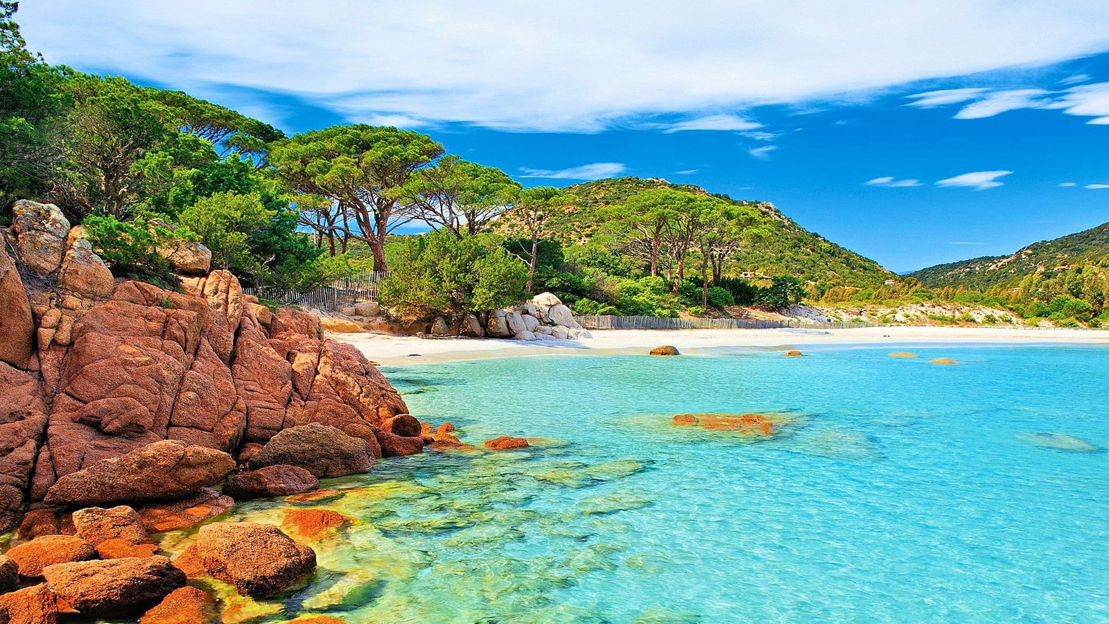 Palombaggia Beach In Corsica Island France Uhd Wallpaper For Desktop Mobile Phones Table And Laptop 2k