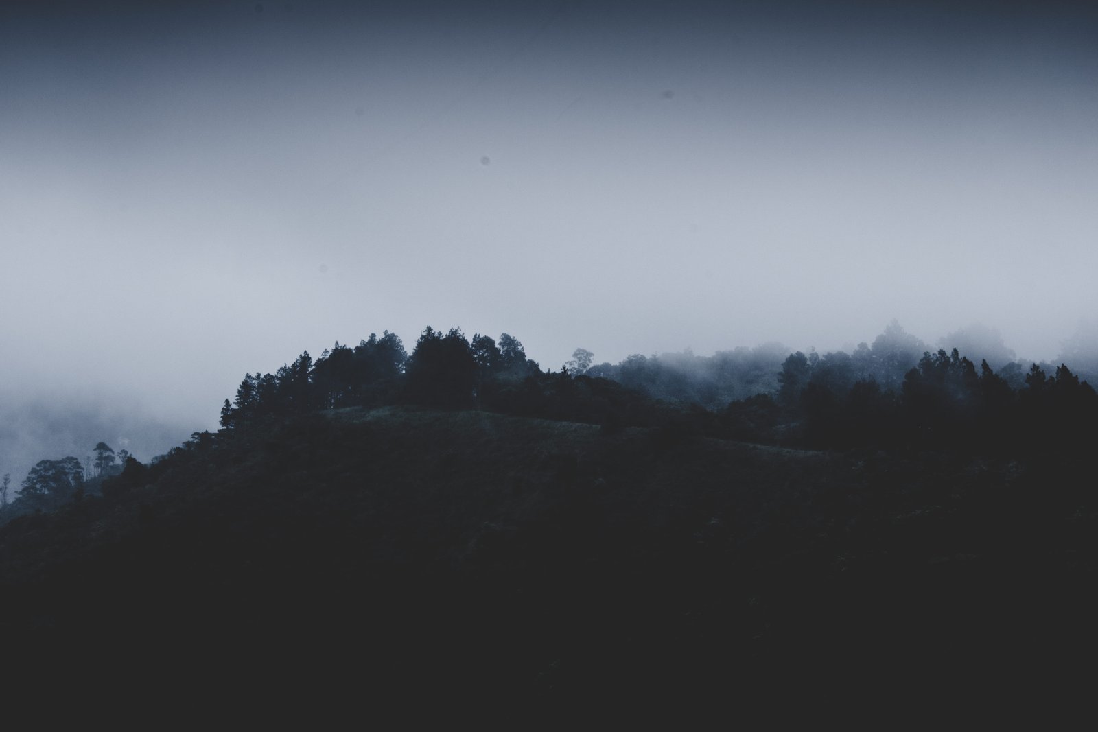 panama boquete dark moody trees sky black white nature 2k 4k 5k