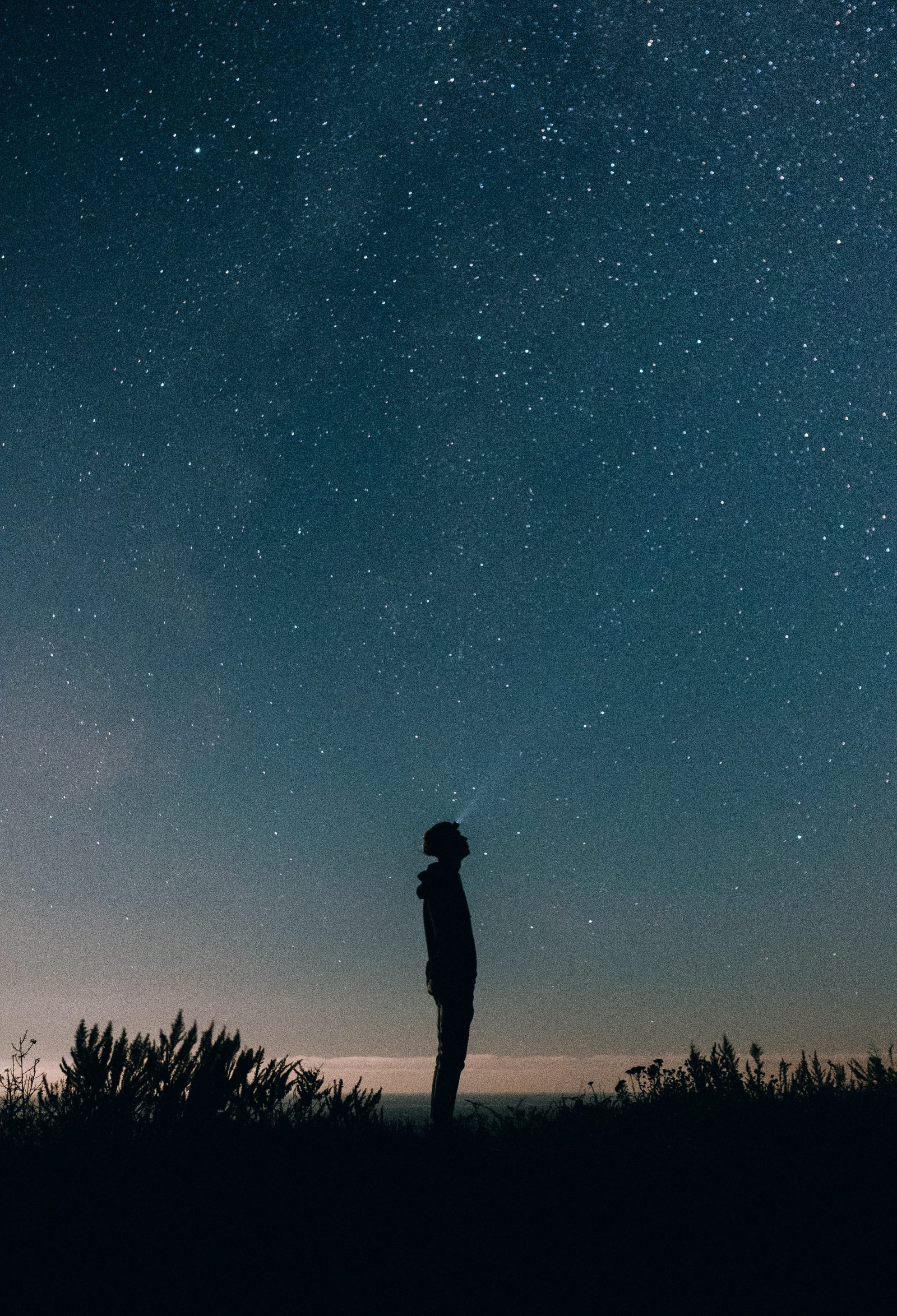 silhouette of person between grass under black sky star headlamp 2k