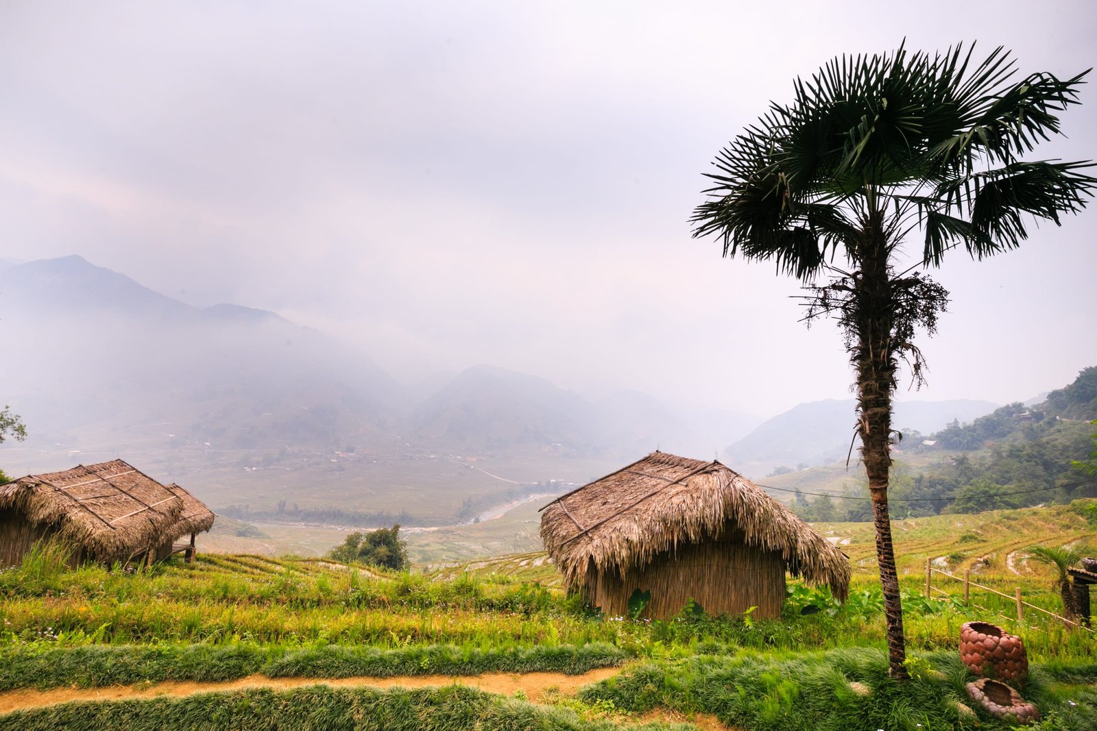 two brown nipa hut houses near palm trees water see asia rice 2k 4k