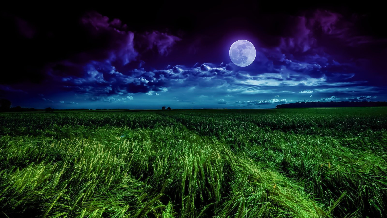 wheat summer night darkness moon moonlight landscape horizon 2k 4k