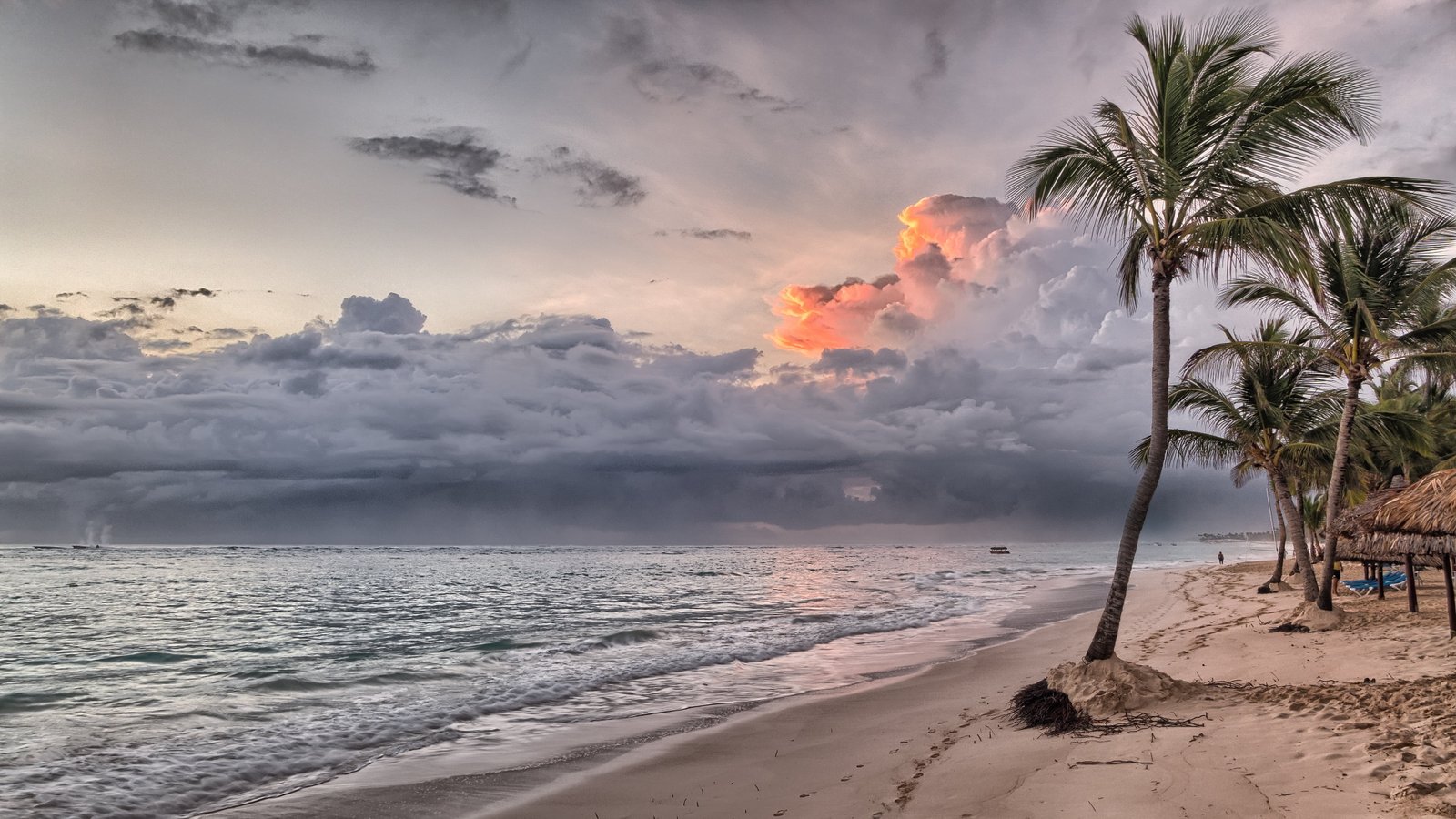 white and blue boat on body of water painting coconut trees near seashores under cloudy sky 2k 4k