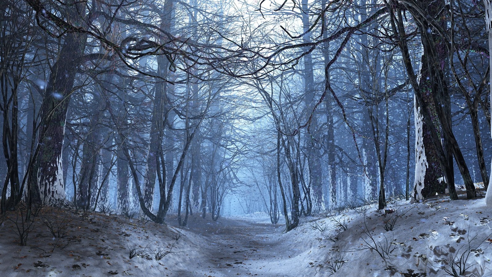 widescreen nature tree forest plant winter snow 2k