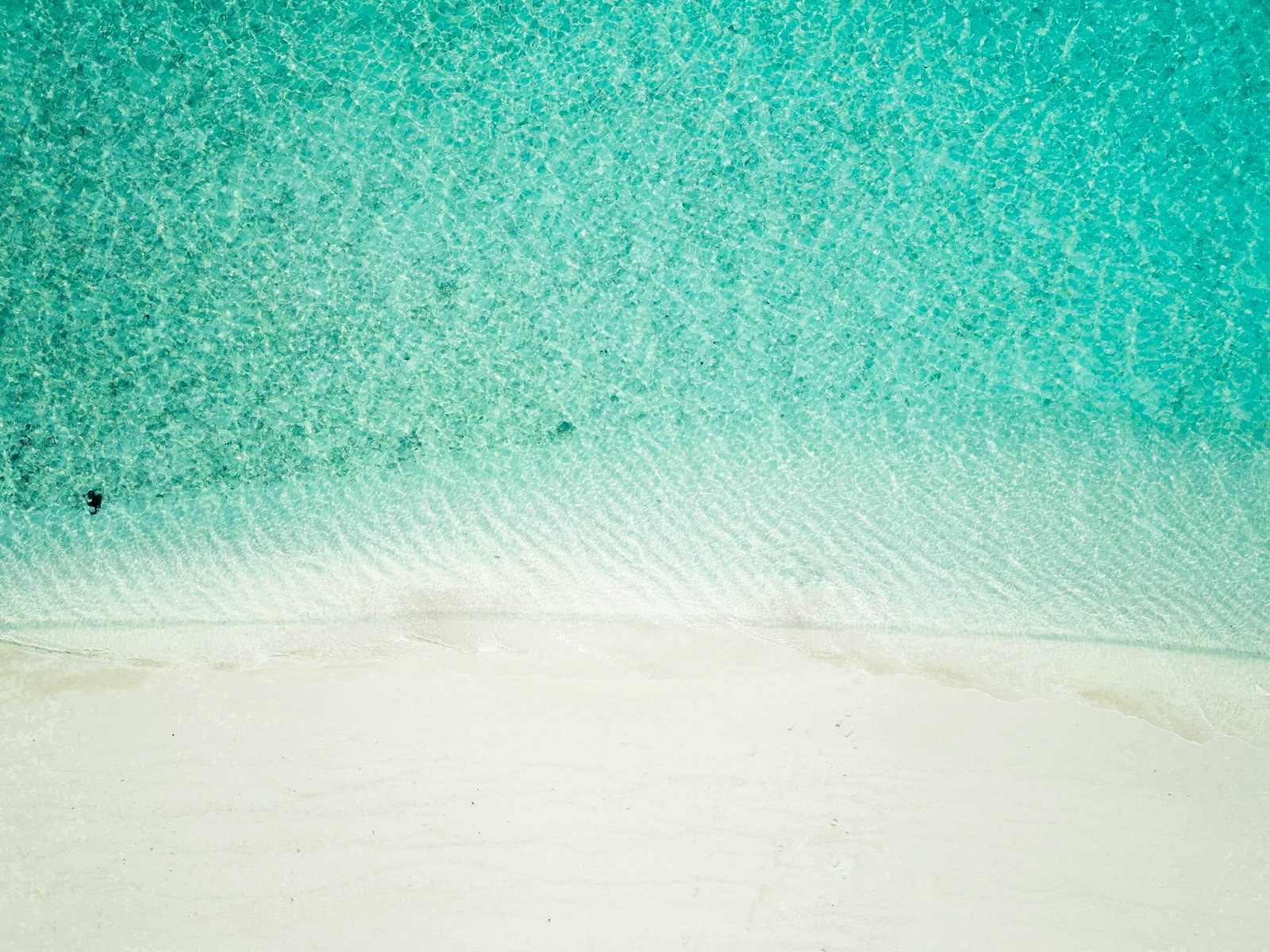 aerial view of white sand beach sea drone green shore 2k 4k