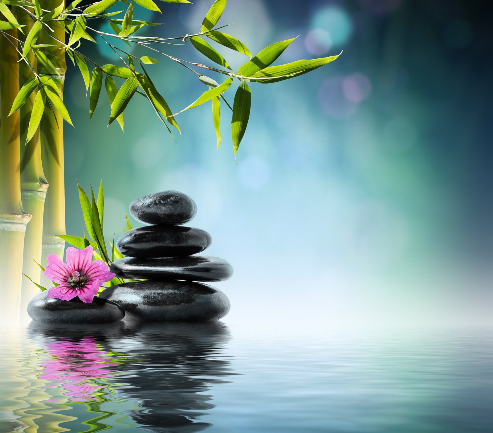 black stones flower water bamboo orchid reflection spa 2k 4k 5k