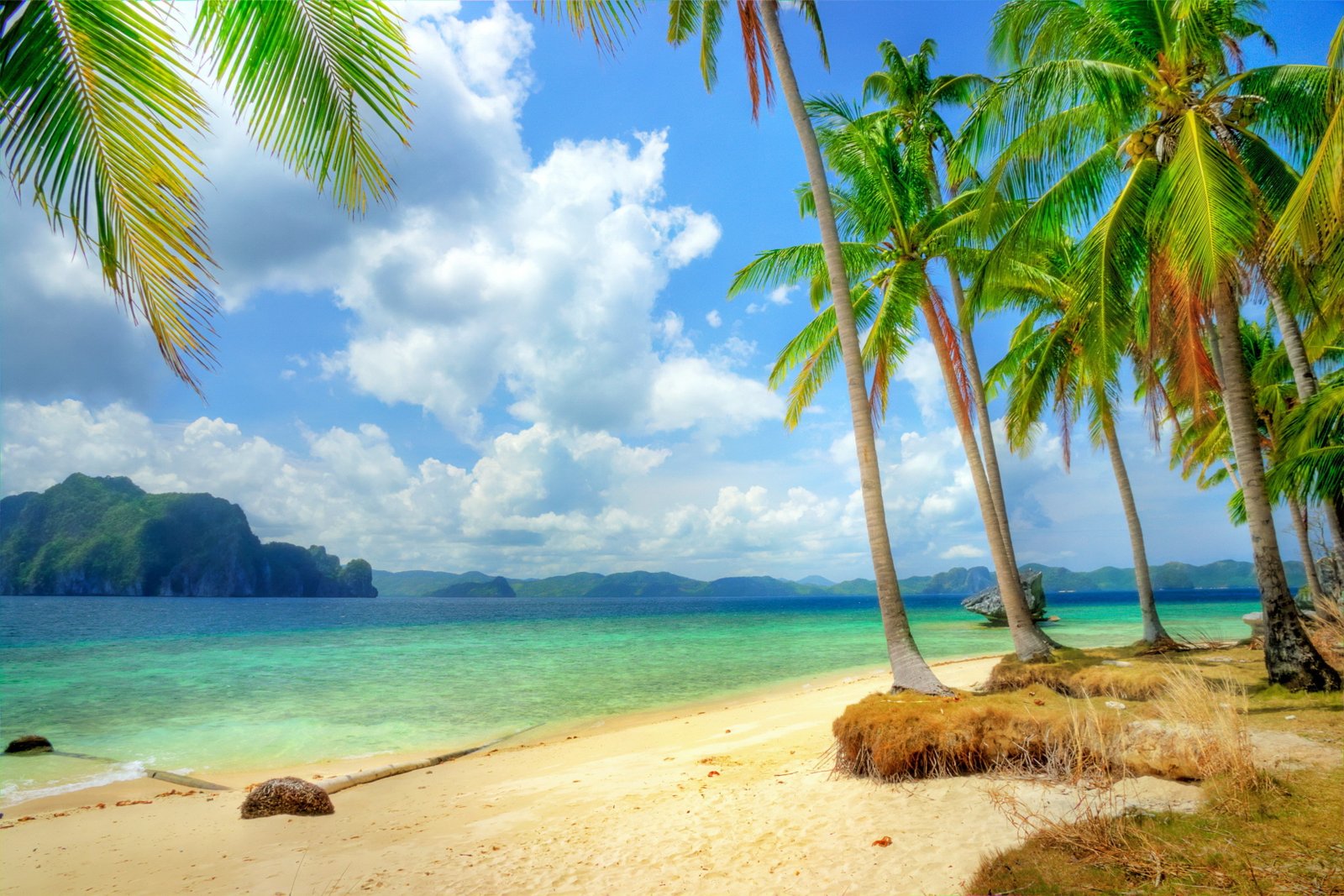 Blue ocean and beach tropical paradise coast Sea emerald 2k