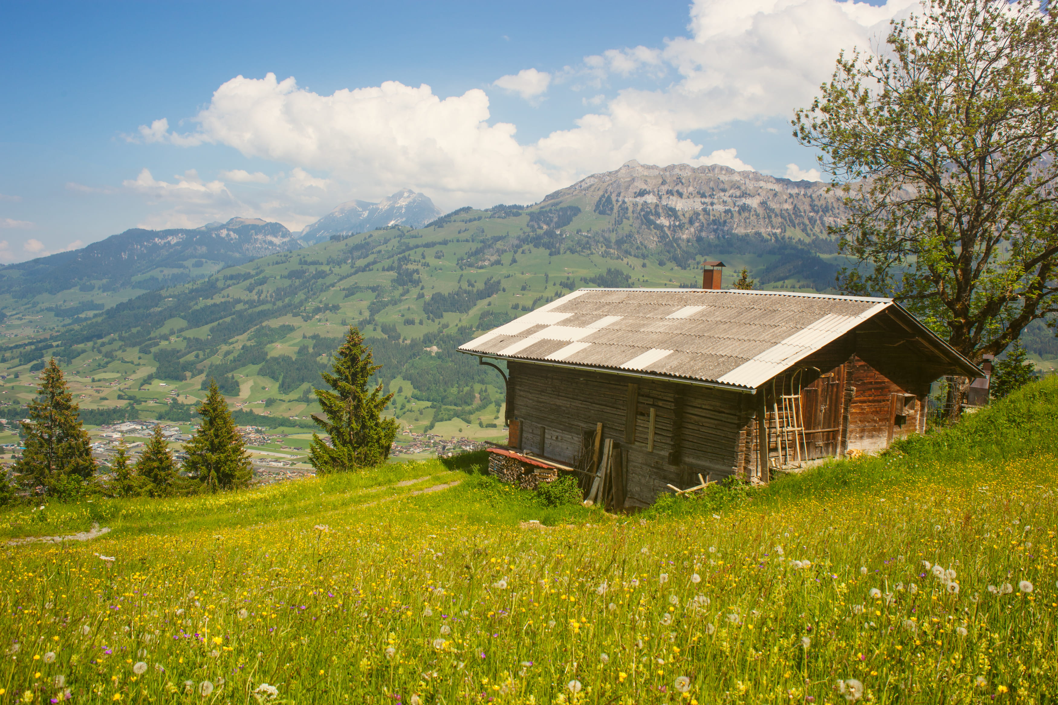 brown cabin surrounded by grass and trees gray wooden house on green hill near overviewing mountain at daytime 2k 4k