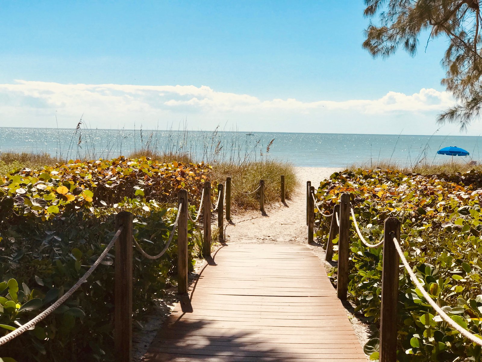 building bridge boardwalk railing united states sanibel serenity 2k 4k