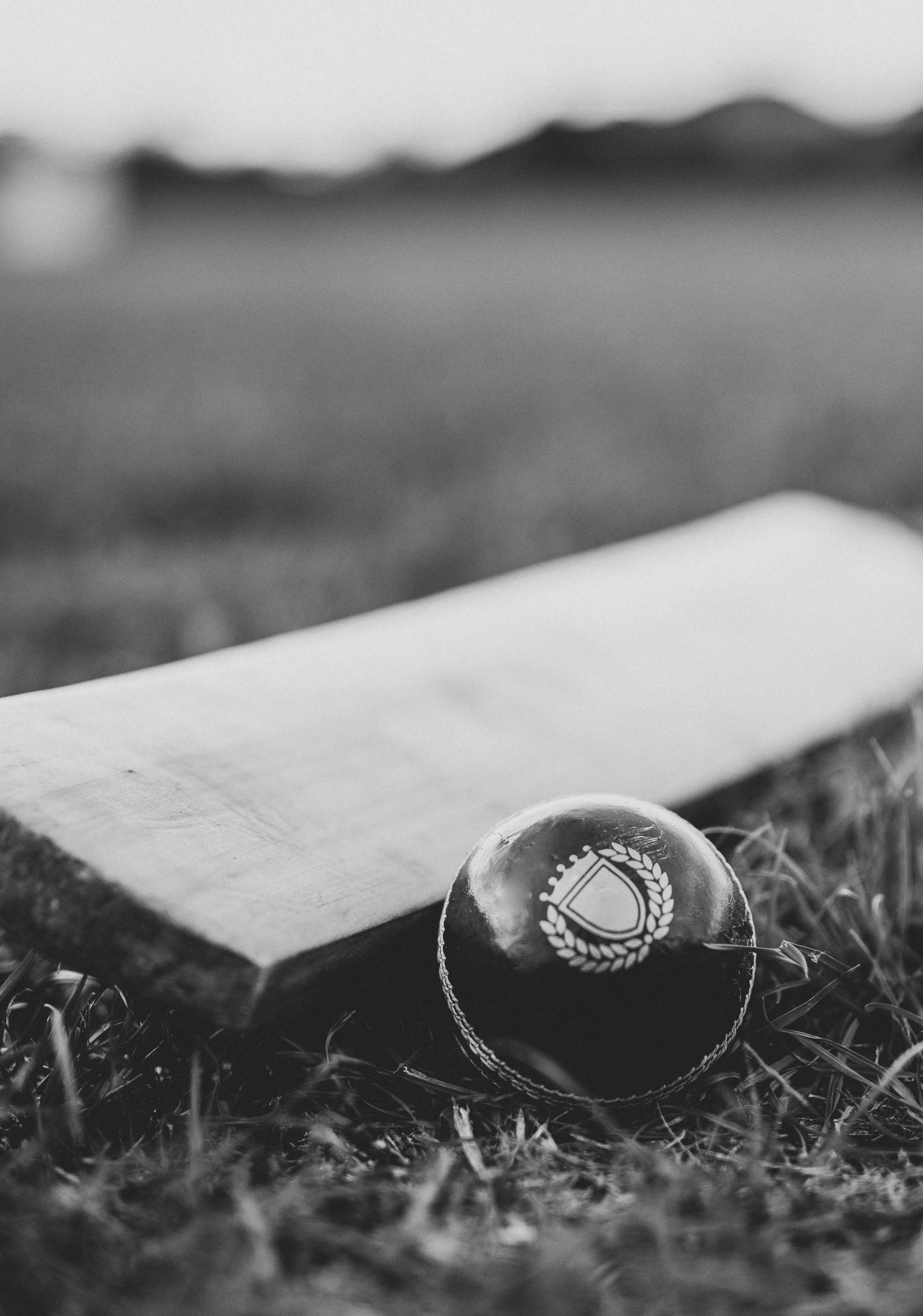 Grayscale Photo of Cricket Ball and Bat on the Ground black white 2k