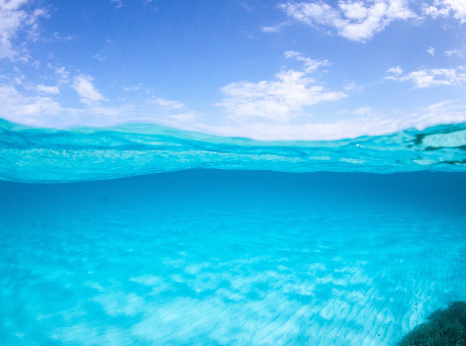 Half Underwater Above HD Wallpaper blue water Travel 2k 4k