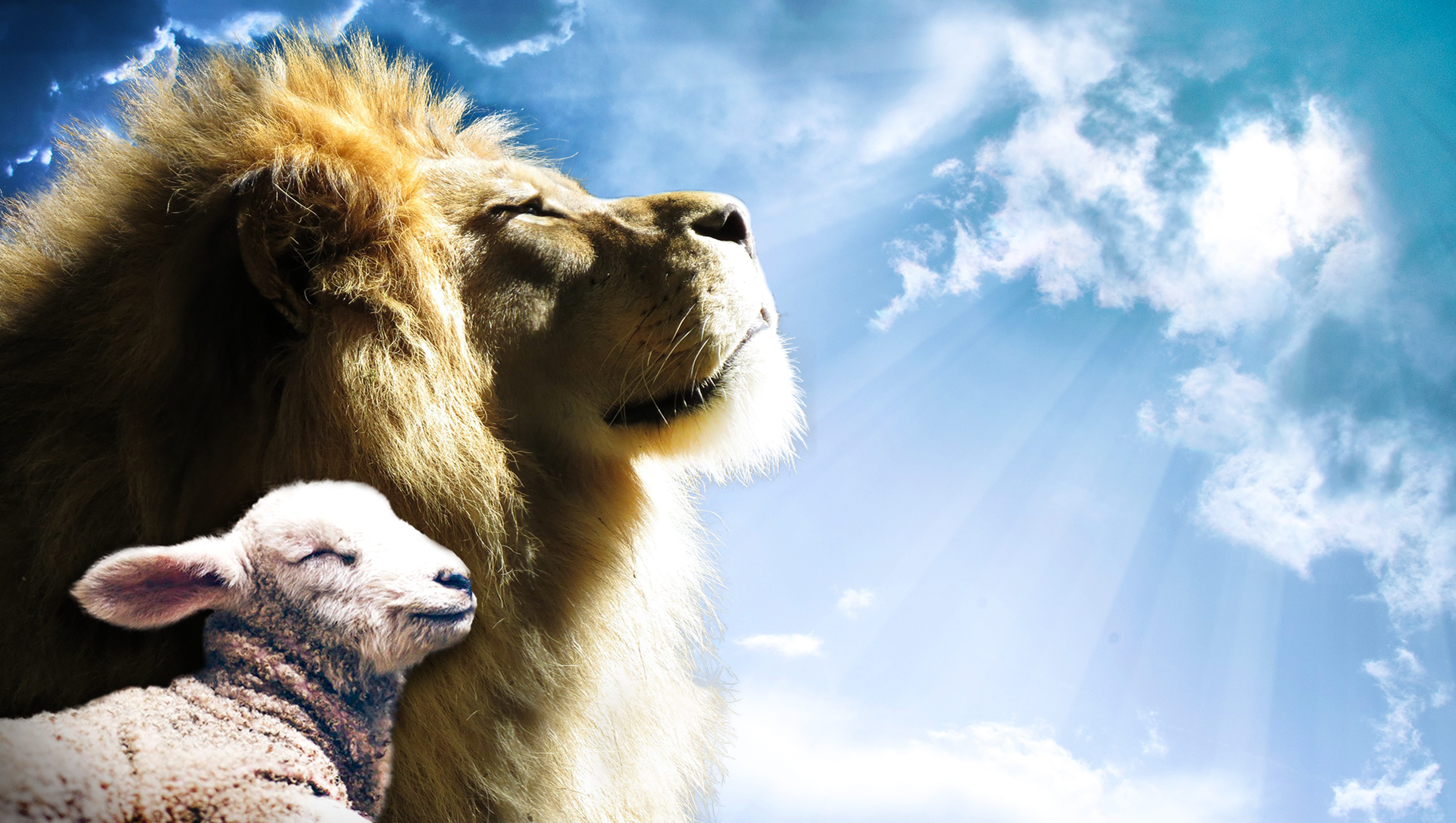 lion lamb sky jesus god holy spirit bible gospel christ 2k 4k 5k