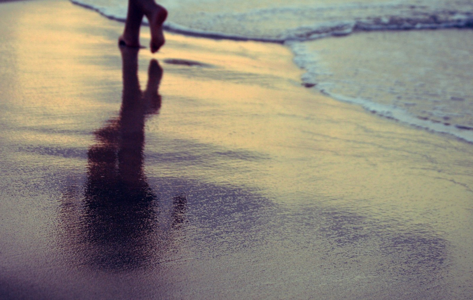 nature beach water feet low section one person human body part 2k 4k