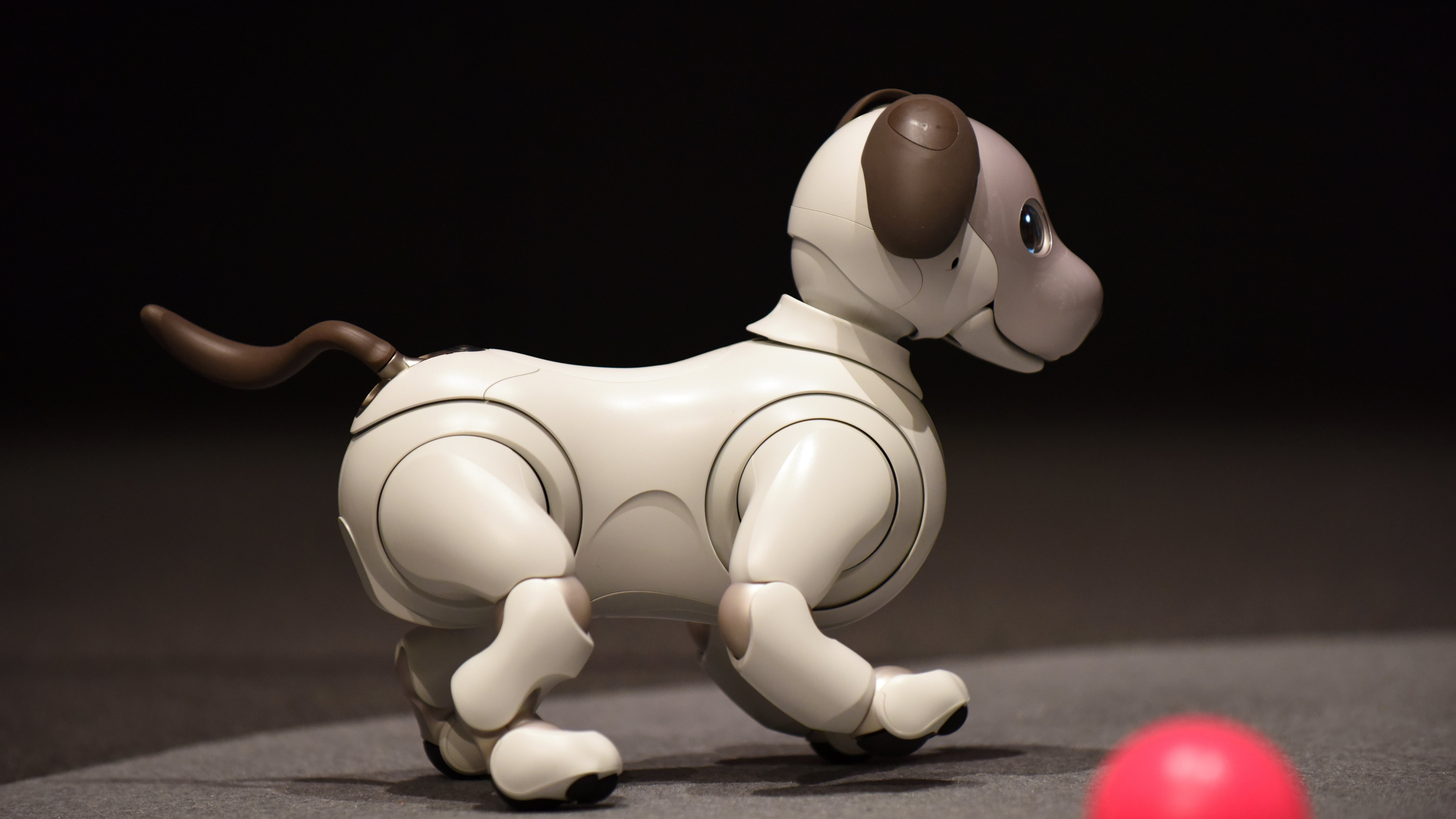 untitled Sony Aibo CES robot dog 2k 4k 5k 8k