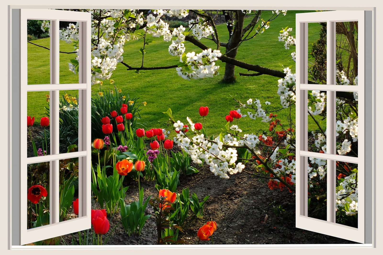 assorted flowers a beautiful day good mood joy tulips window 2k 4k