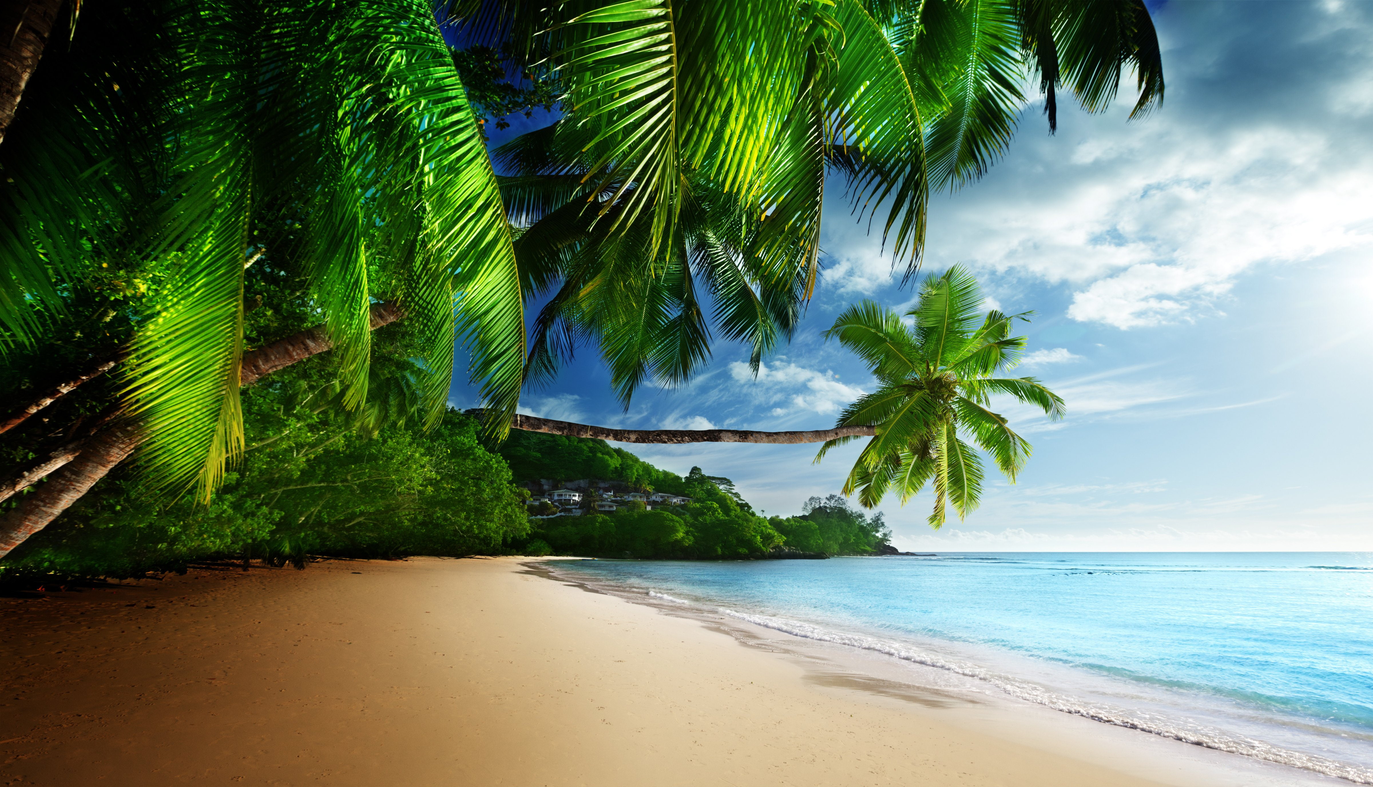 beach blue coast emerald paradise sea sky sunshine tropical 2k 4k 5k