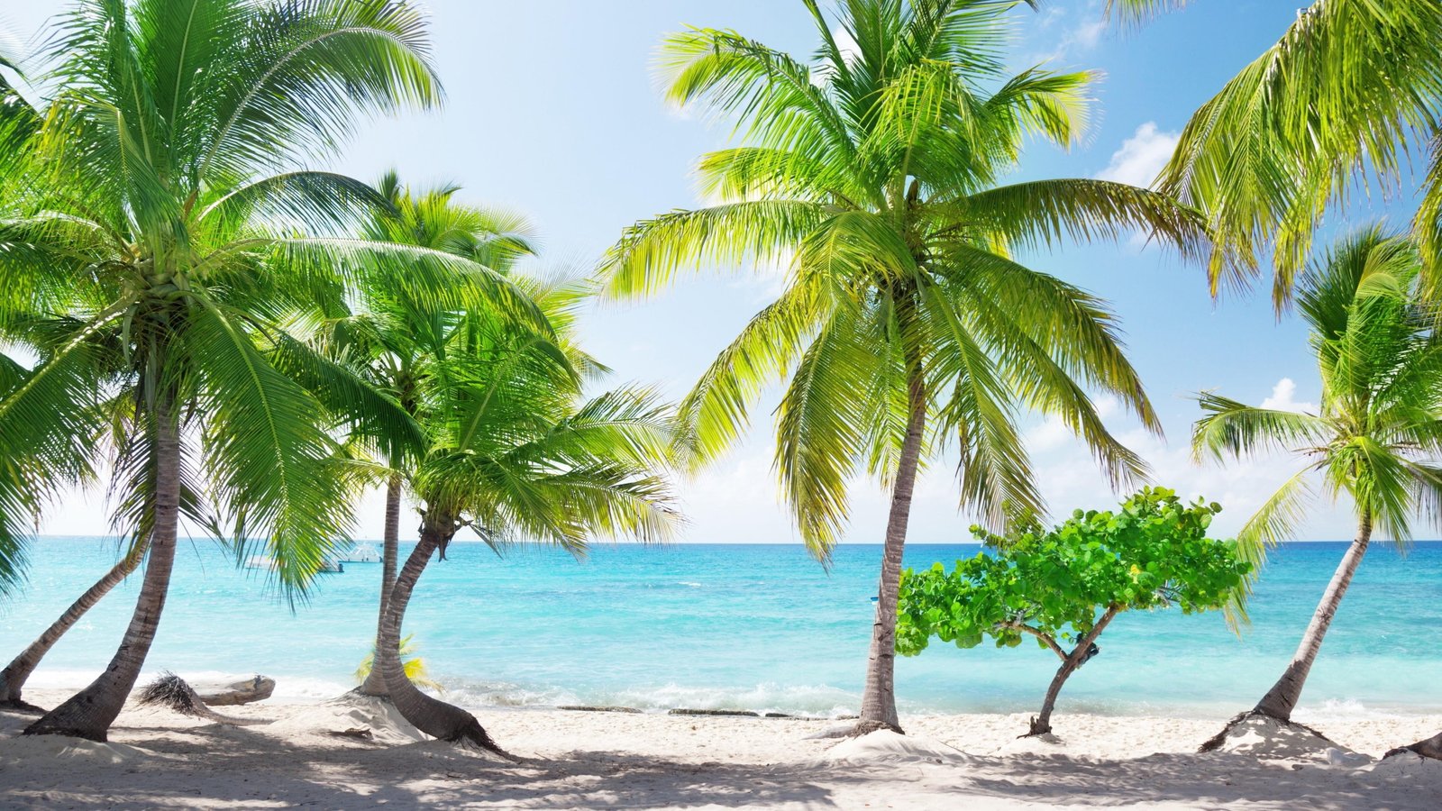 beach summer summertime tourism island sandy sea 2k 4k