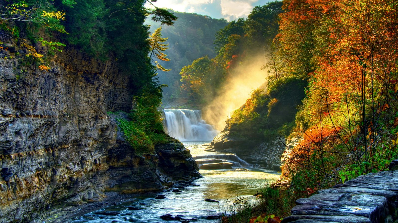 cascade nature waterfall forest leaves river vegetation 2k 4k