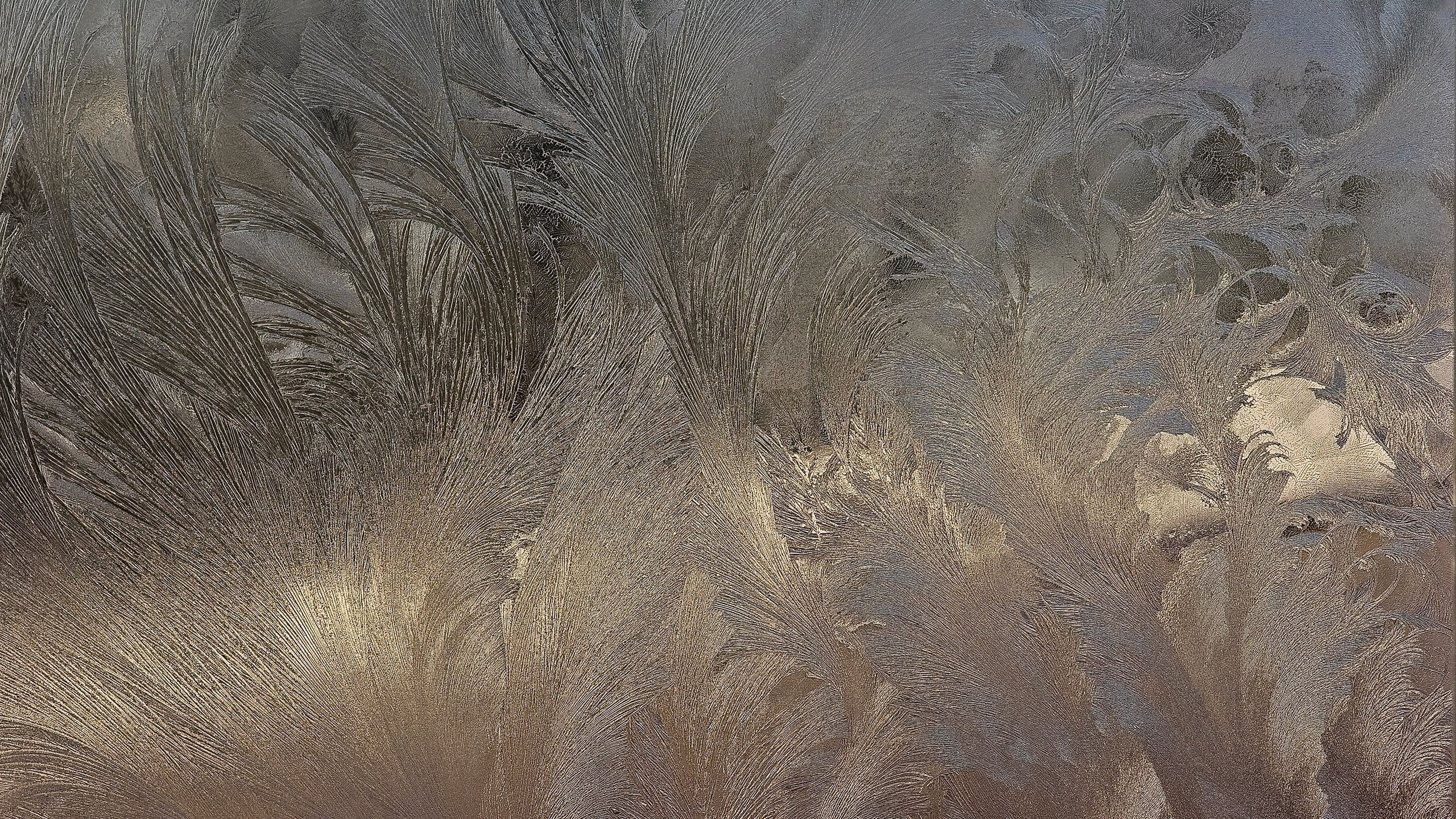 frosted glass for mac os backgrounds full frame no people 2k