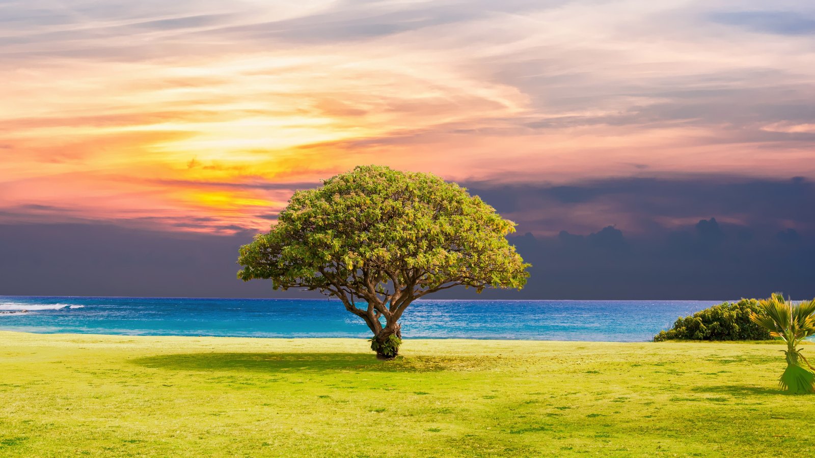 grass coast beach calm landscape horizon tropics sunlight 2k 4k 5k