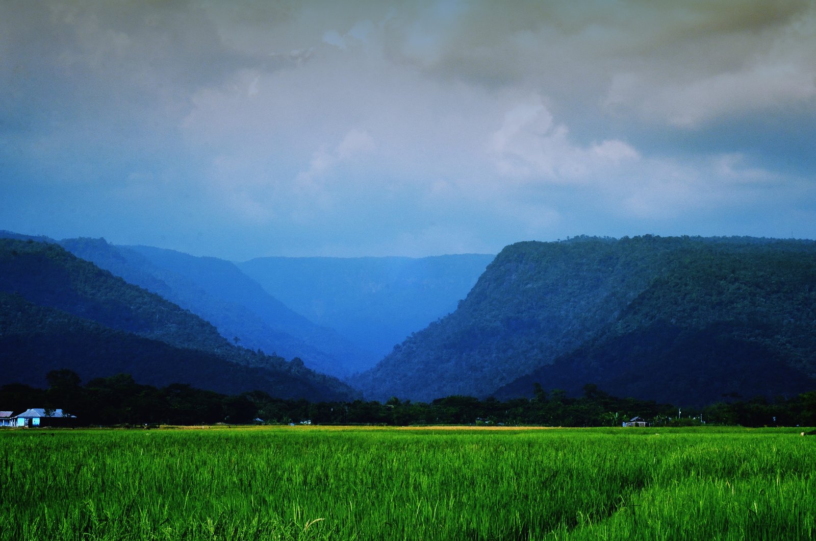 green grass field Landscape Sylhet Nature Hills cloud sky 2k 4k 5k