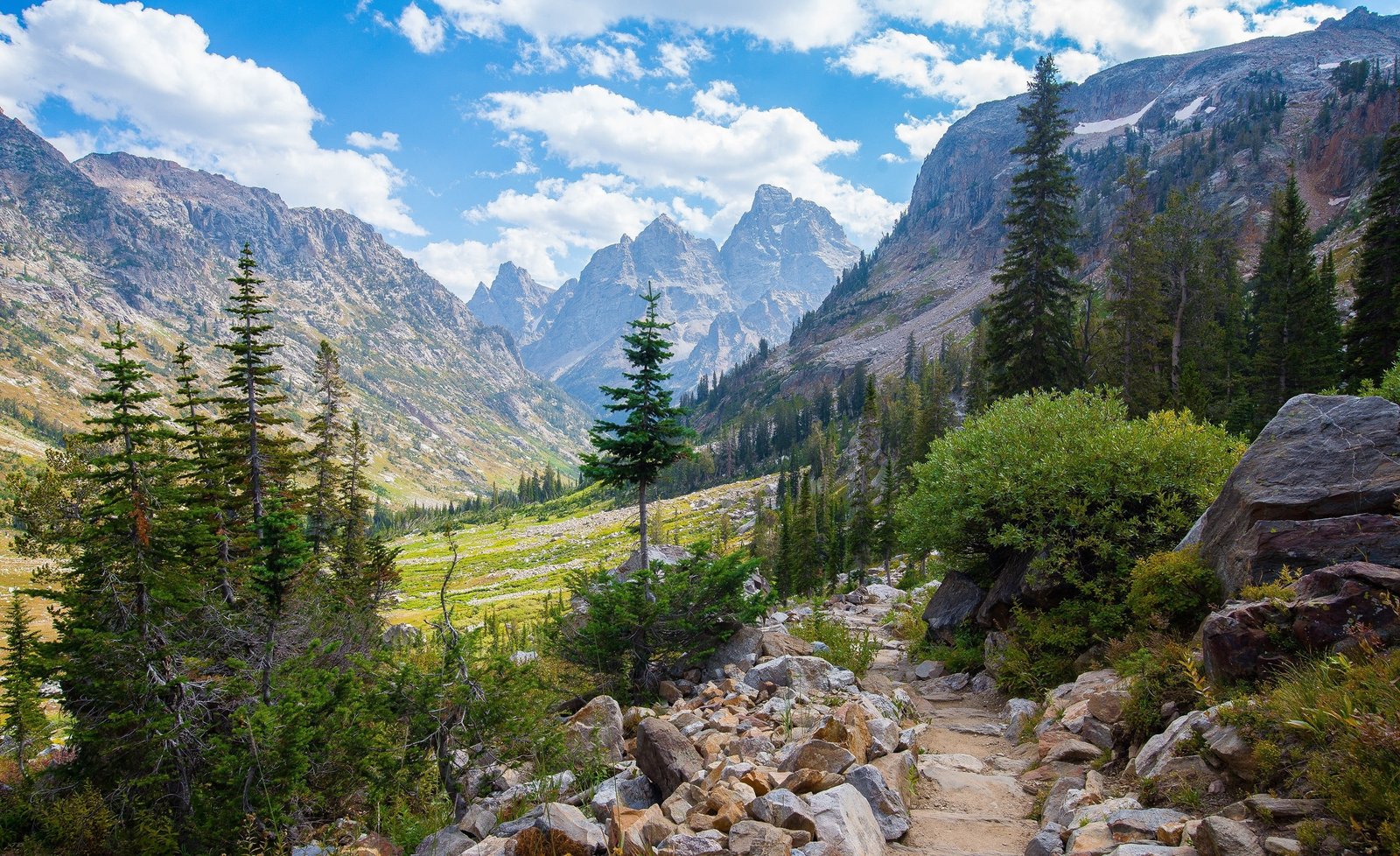 green pine tree and mountain nature landscape mountains Lake Solitude 2k