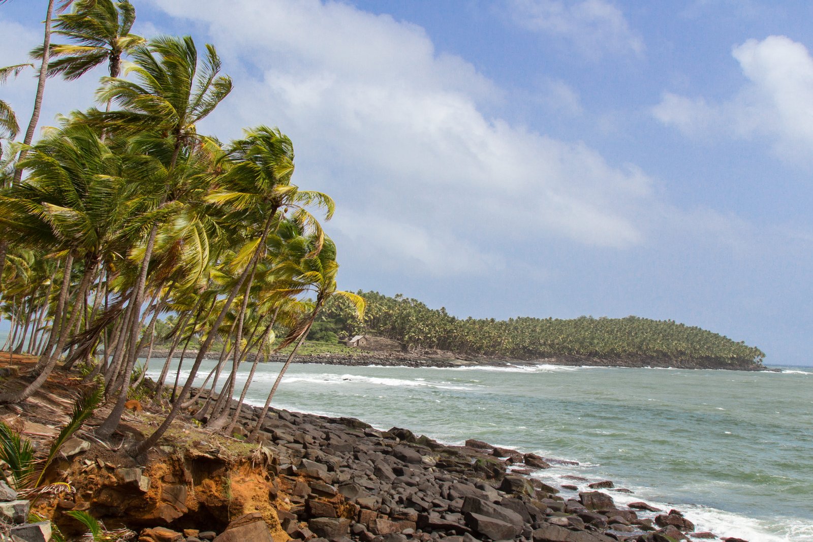 les du salut french guiana guyana island coconut tree 2k 4k 5k