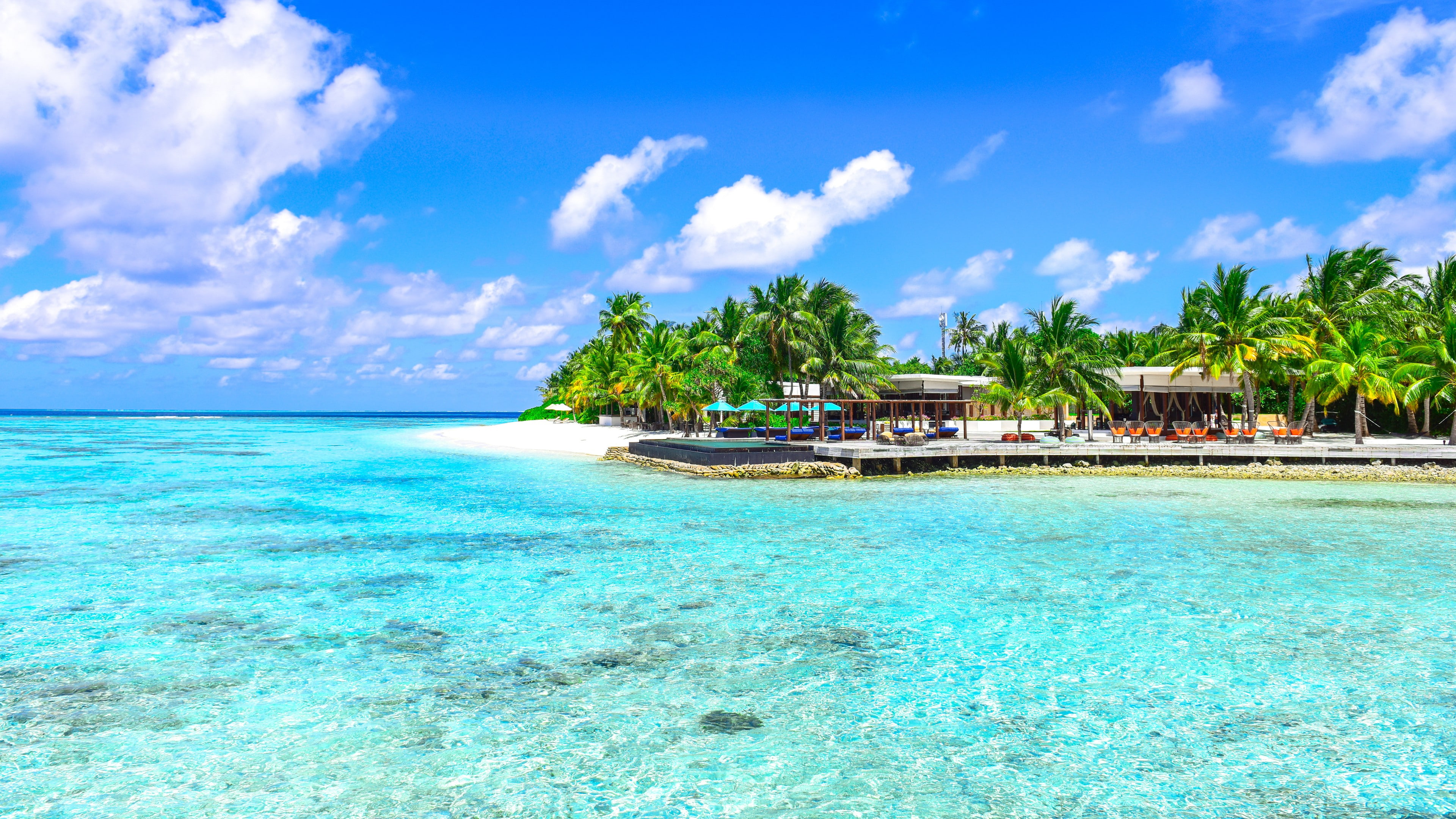 island scenery bay vacation scenic palms photography 2k 4k