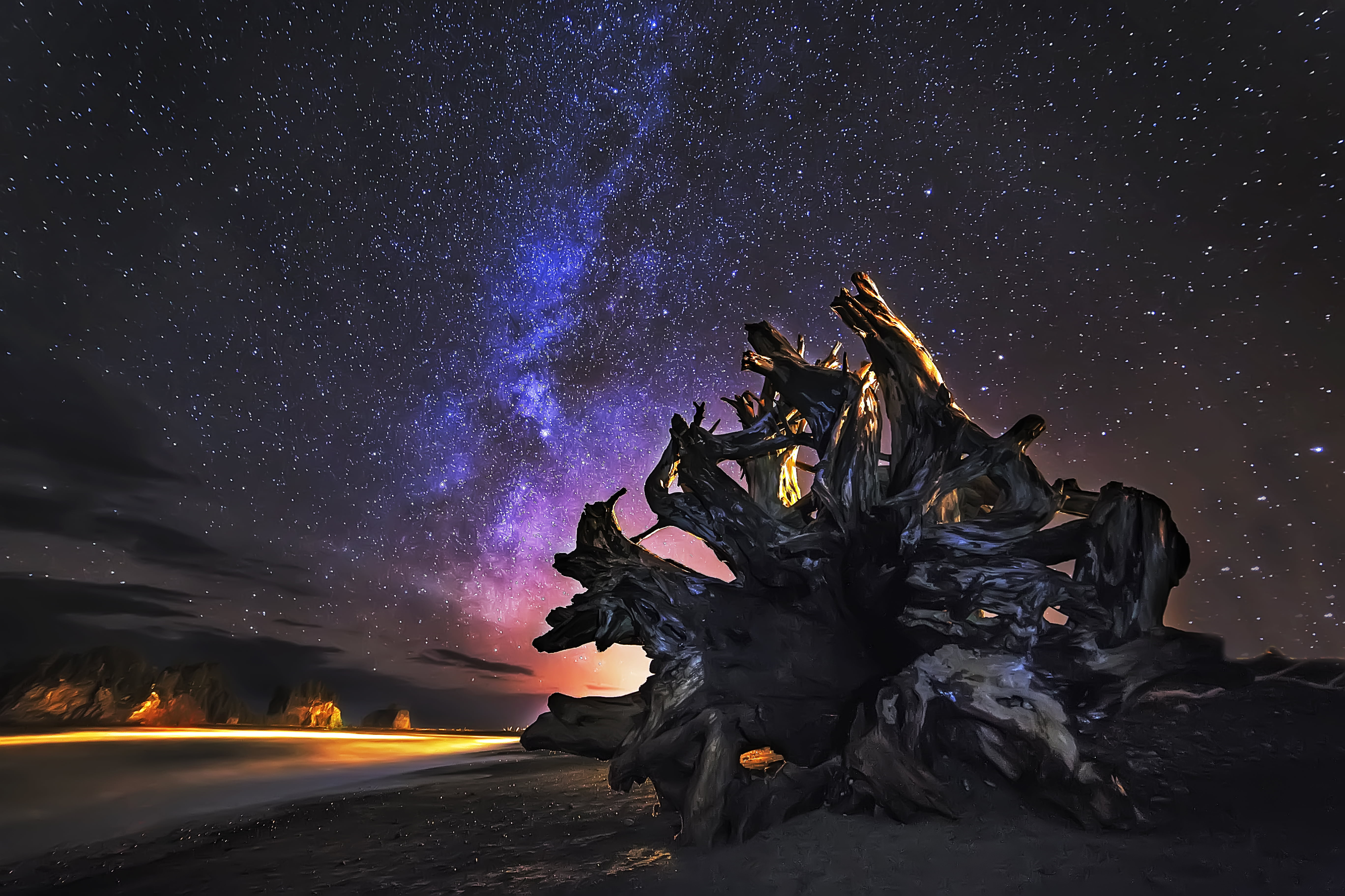 landscape photography of driftwood during nighttime la push 2k 4k 5k