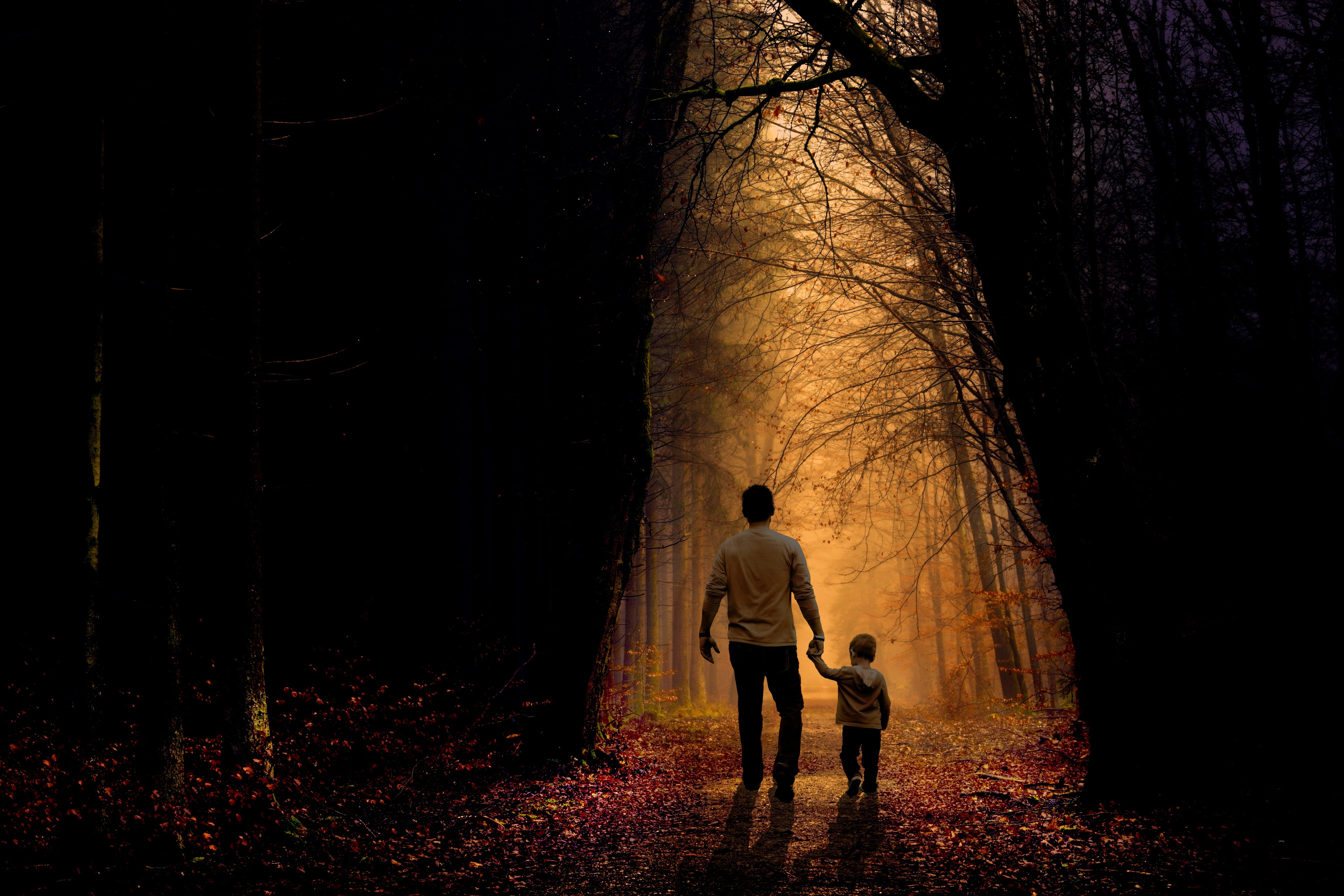 man and toddler walking on dried forest during dawn father son 2k 4k 5k