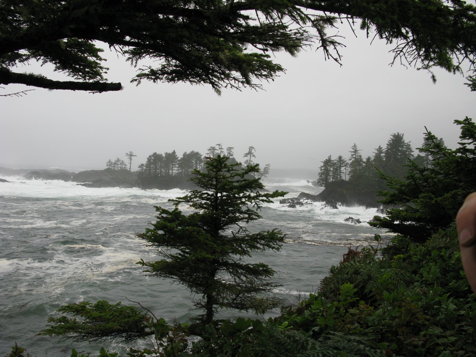 storm waves tofino vancouver island pacific ocean scenery 2k