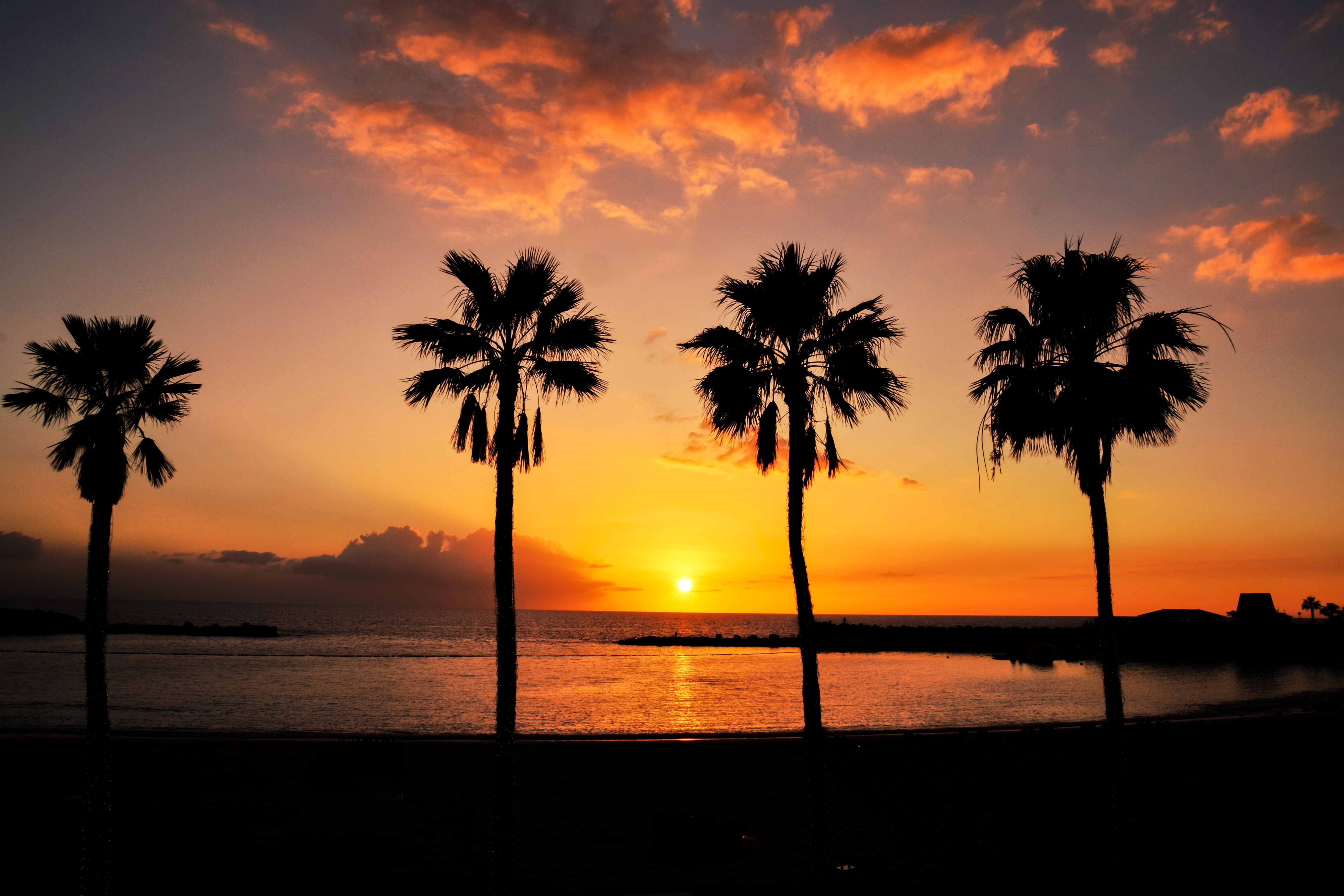 vacation nature animals long exposure Spain Gran Canaria 2k 4k 5k