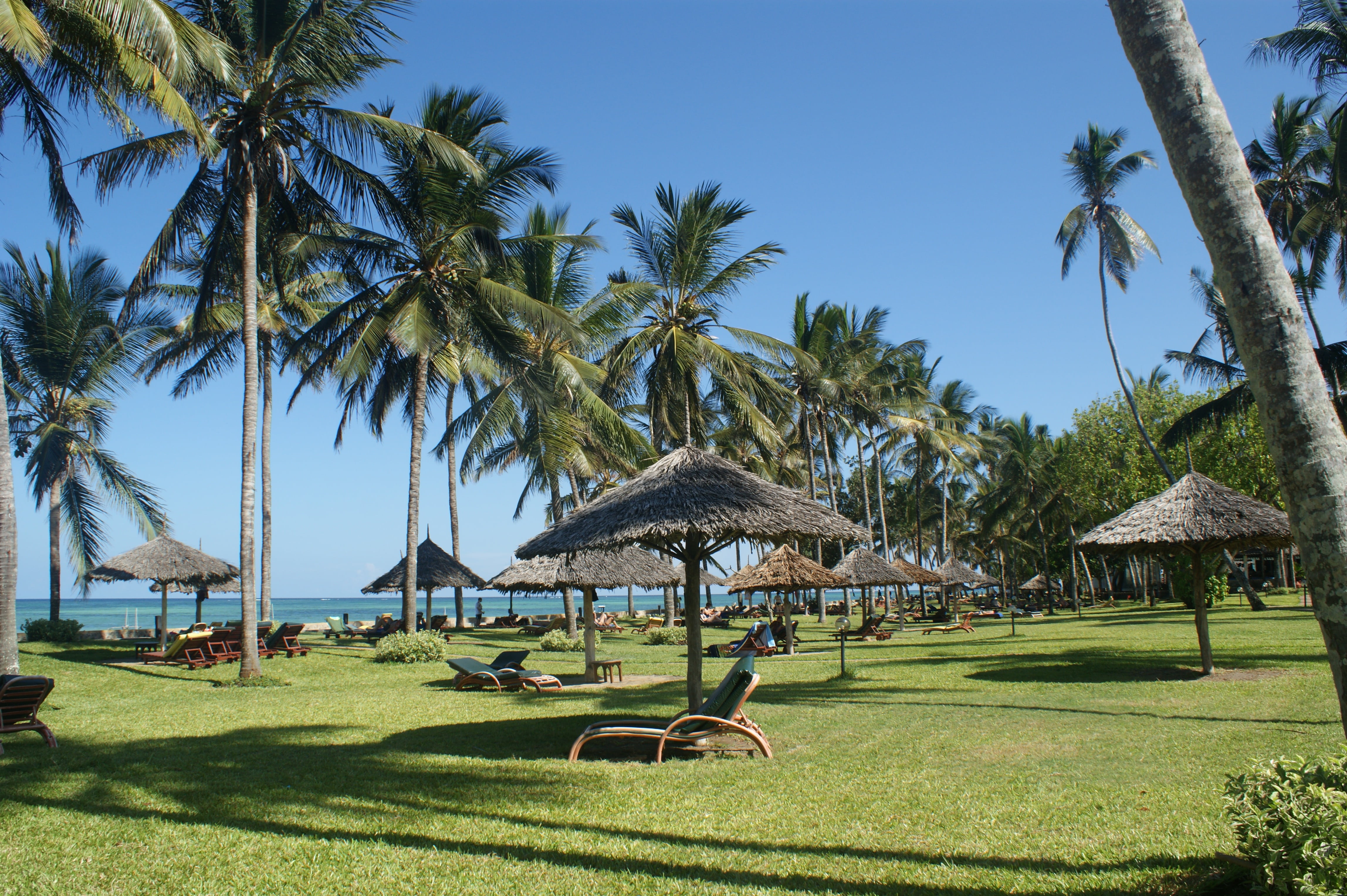 beach hut on green grass field palms holiday kenya vacation 2k 4k 5k