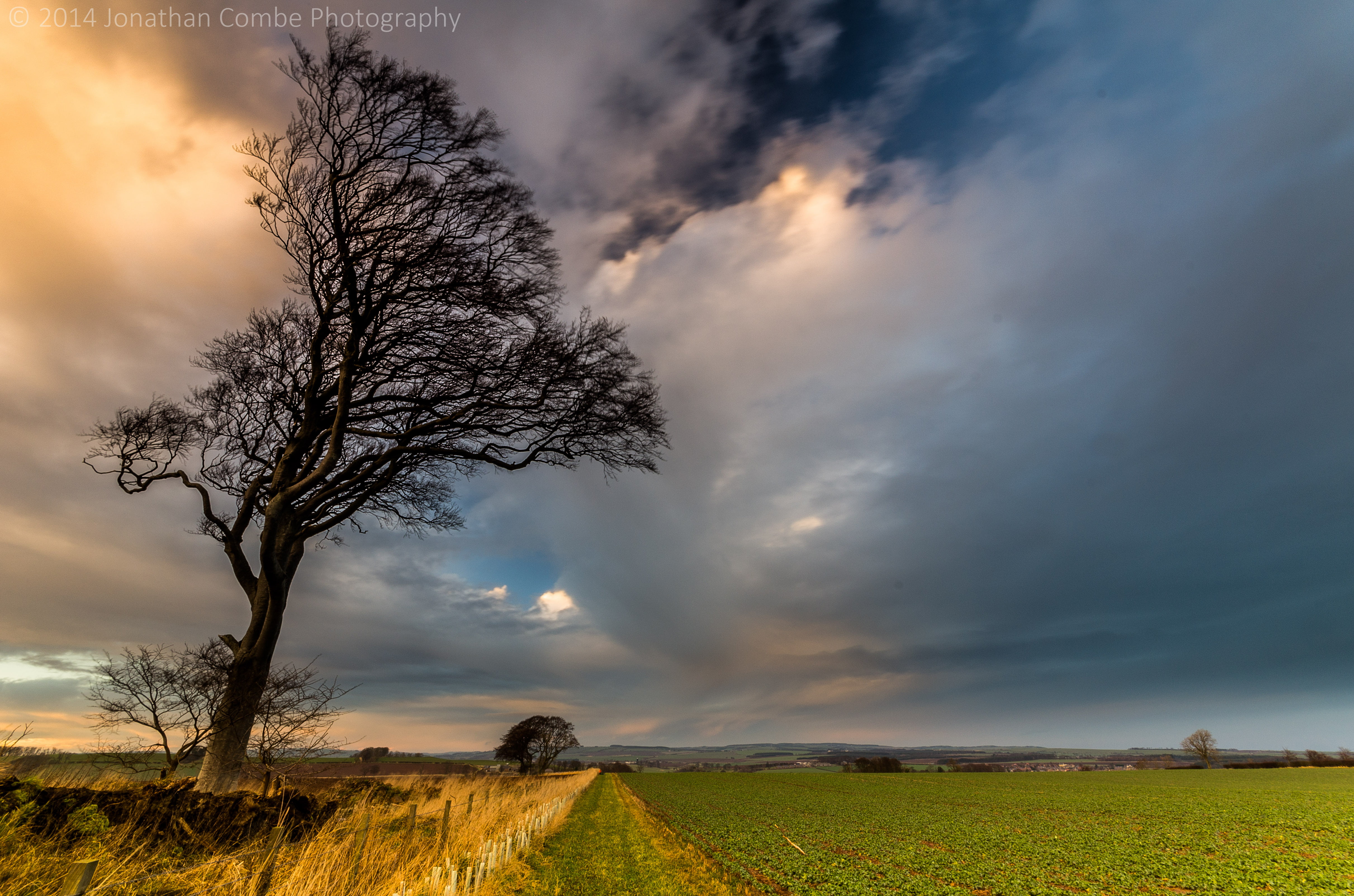 black tree beside green field under a cloudy sky Stormy sunset 2k 4k 5k