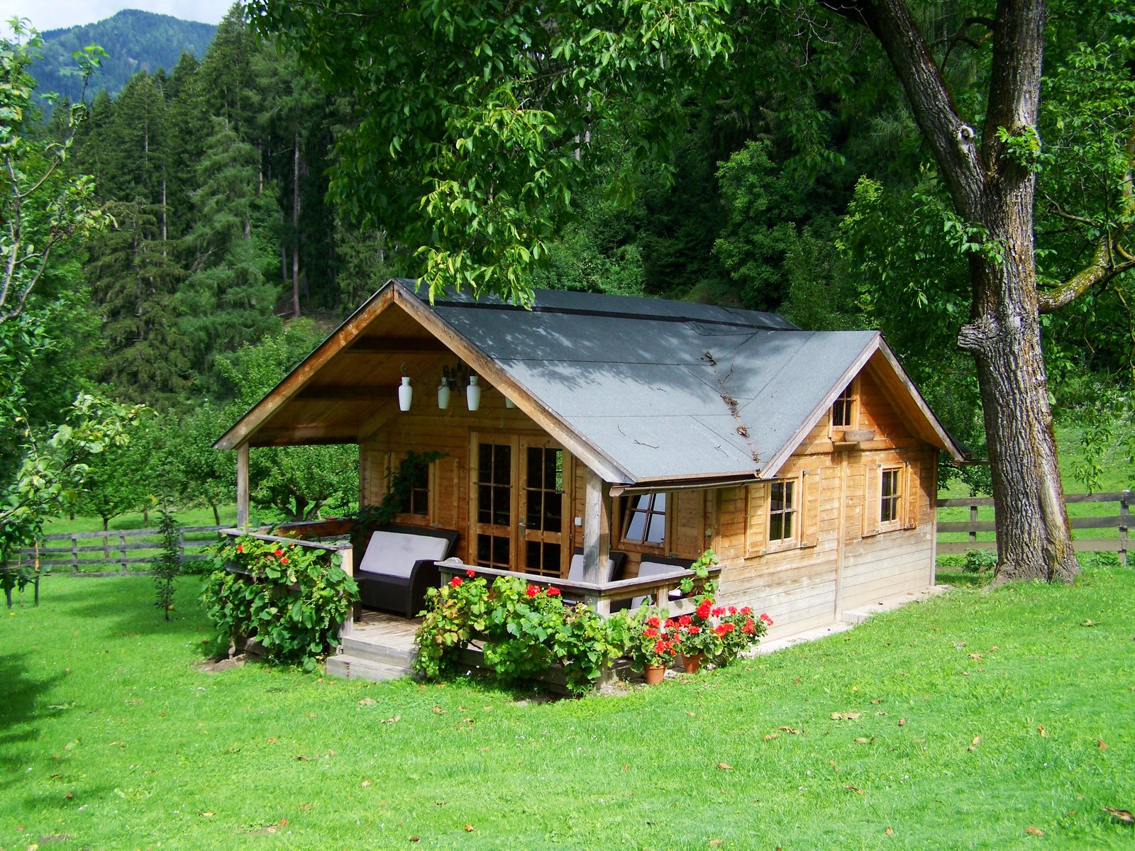 brown and gray wooden house near tree during daytime small 2k