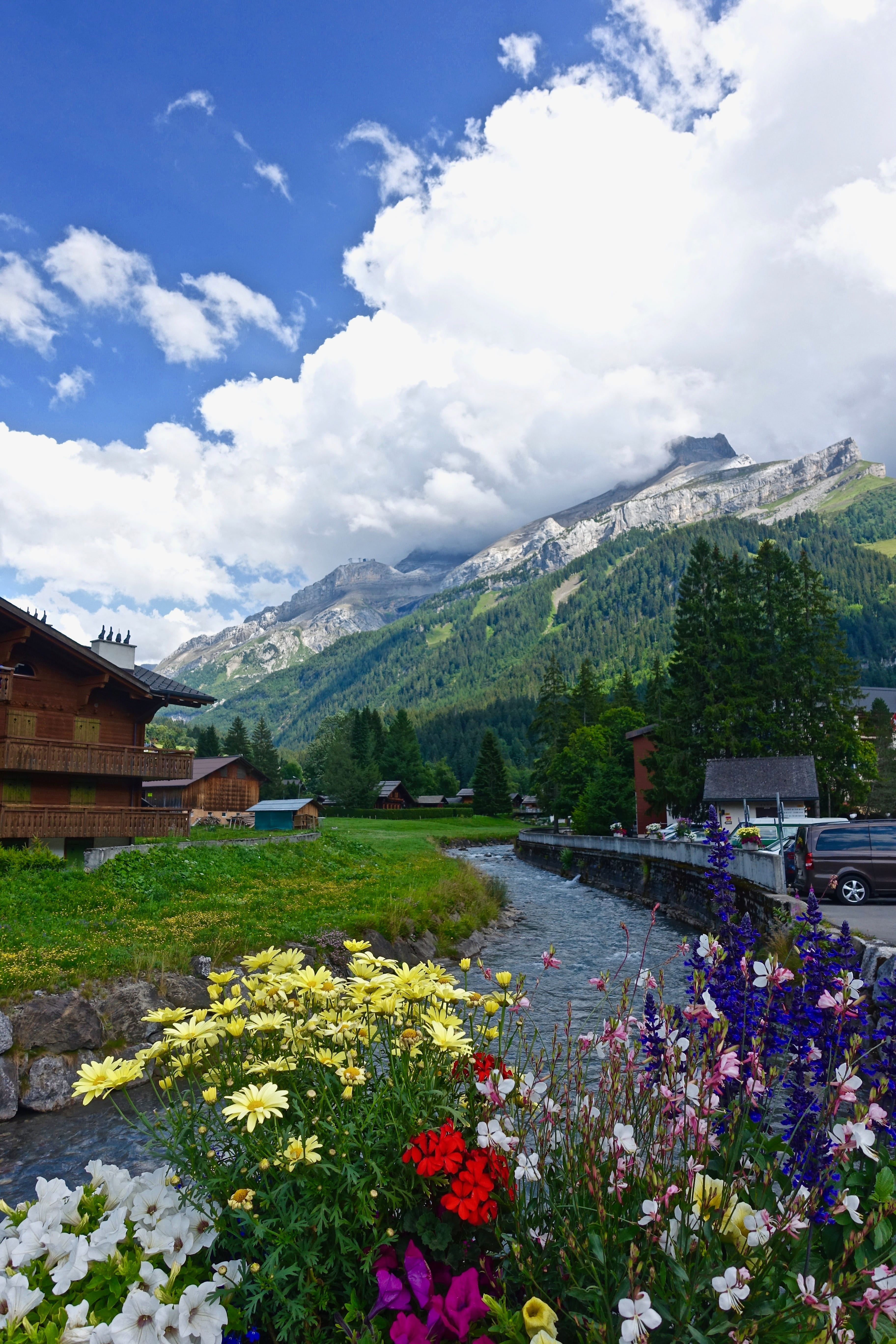 flowers nature alps swiss mountain travel landscape summer 2k 4k