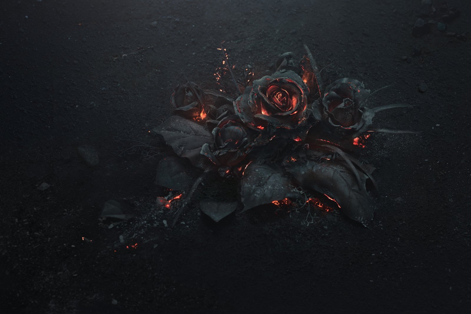 flowers rose abstract ash black burning dark fire 2k 4k 5k