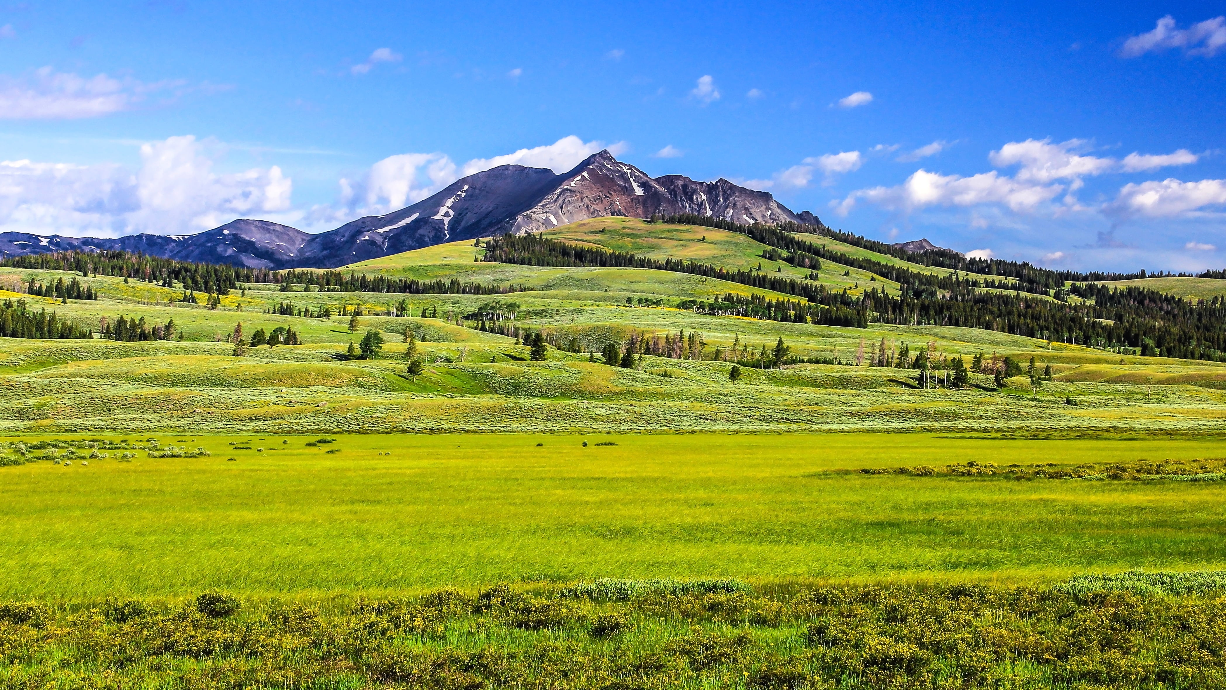 green grass field near mountain under blue sky during daytime yellowstone 2k 4k