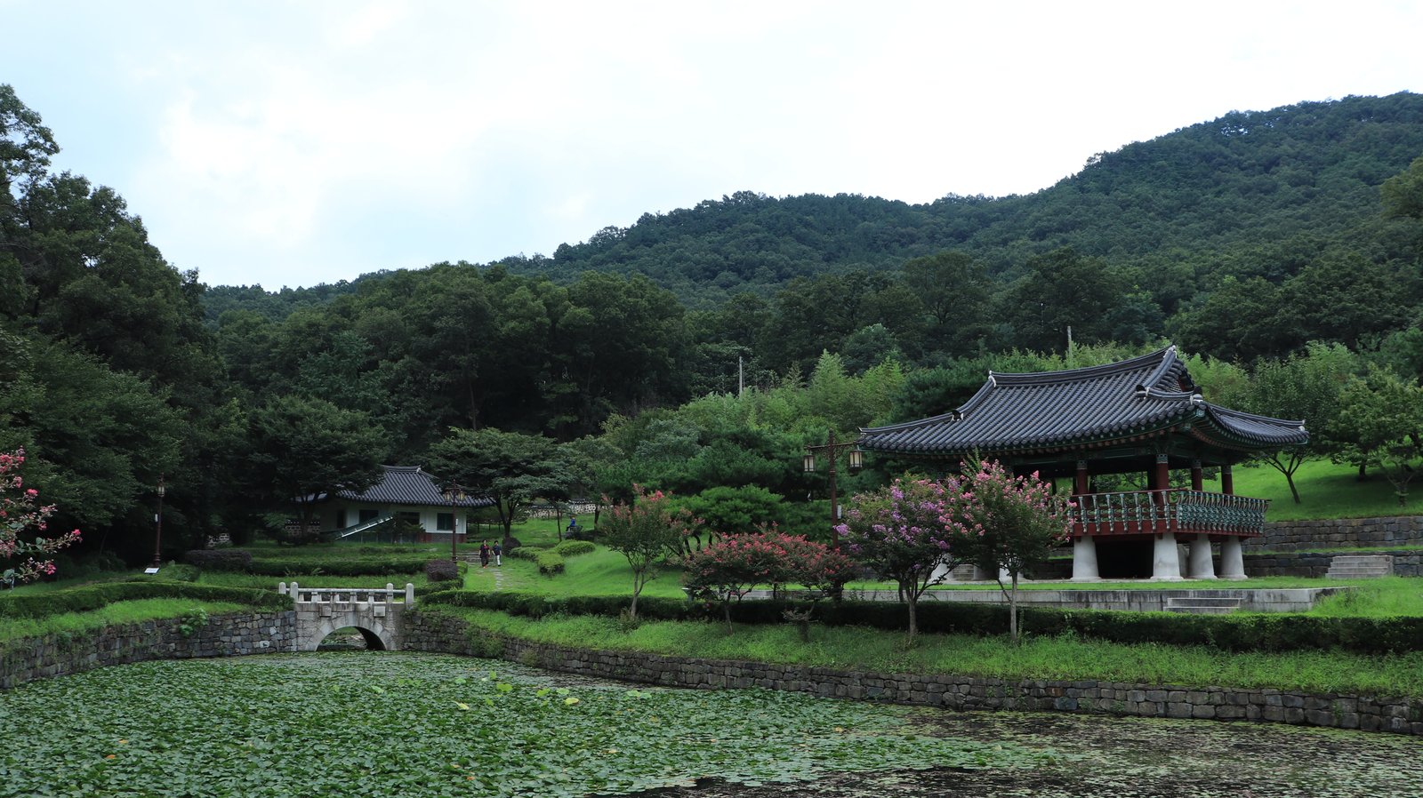 green leafed trees pond water mountain sky white blue grass 2k 4k 5k