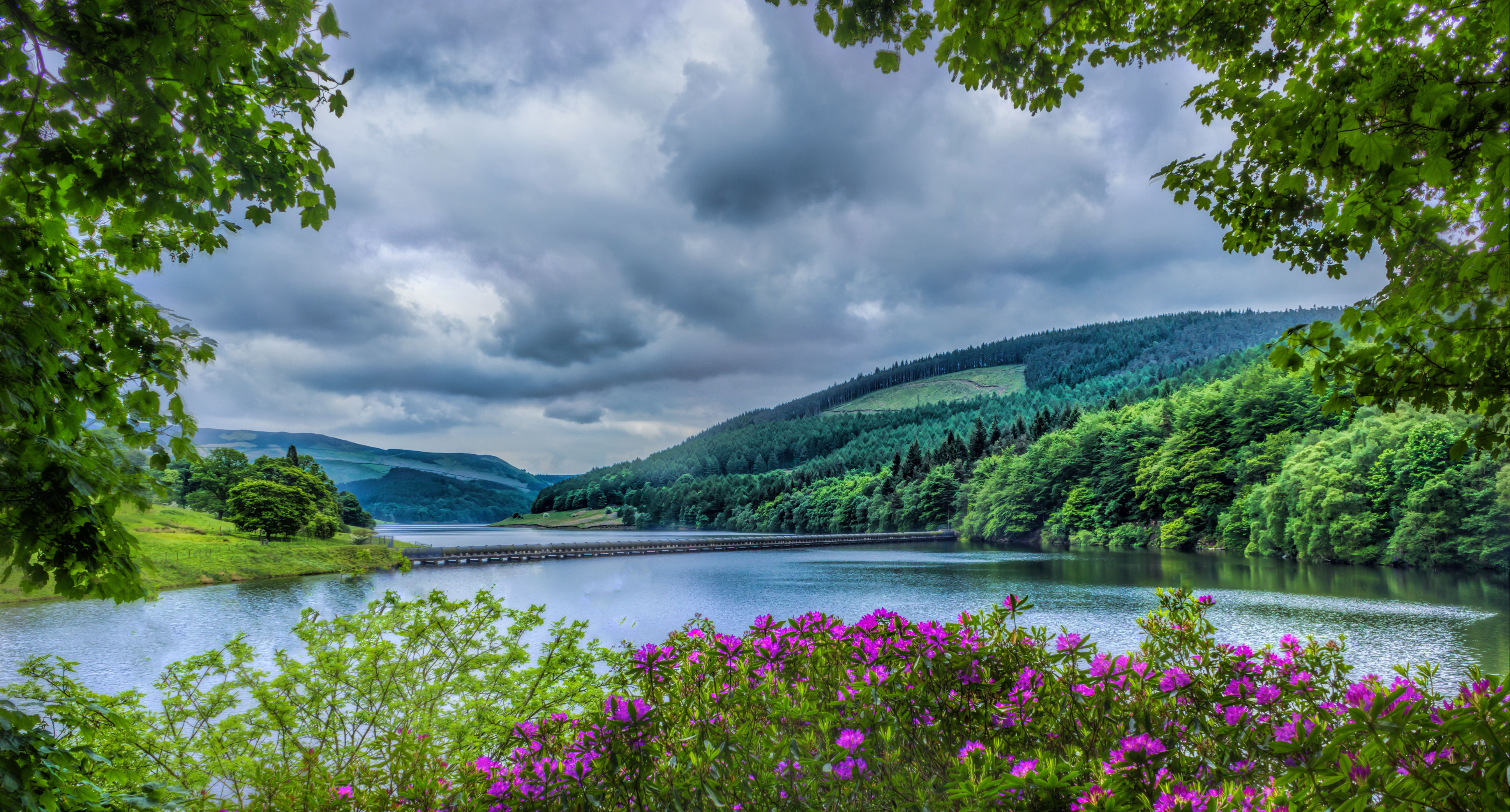 pink outdoor flowers beside river during daytime ladybower reservoir 2k 4k 5k
