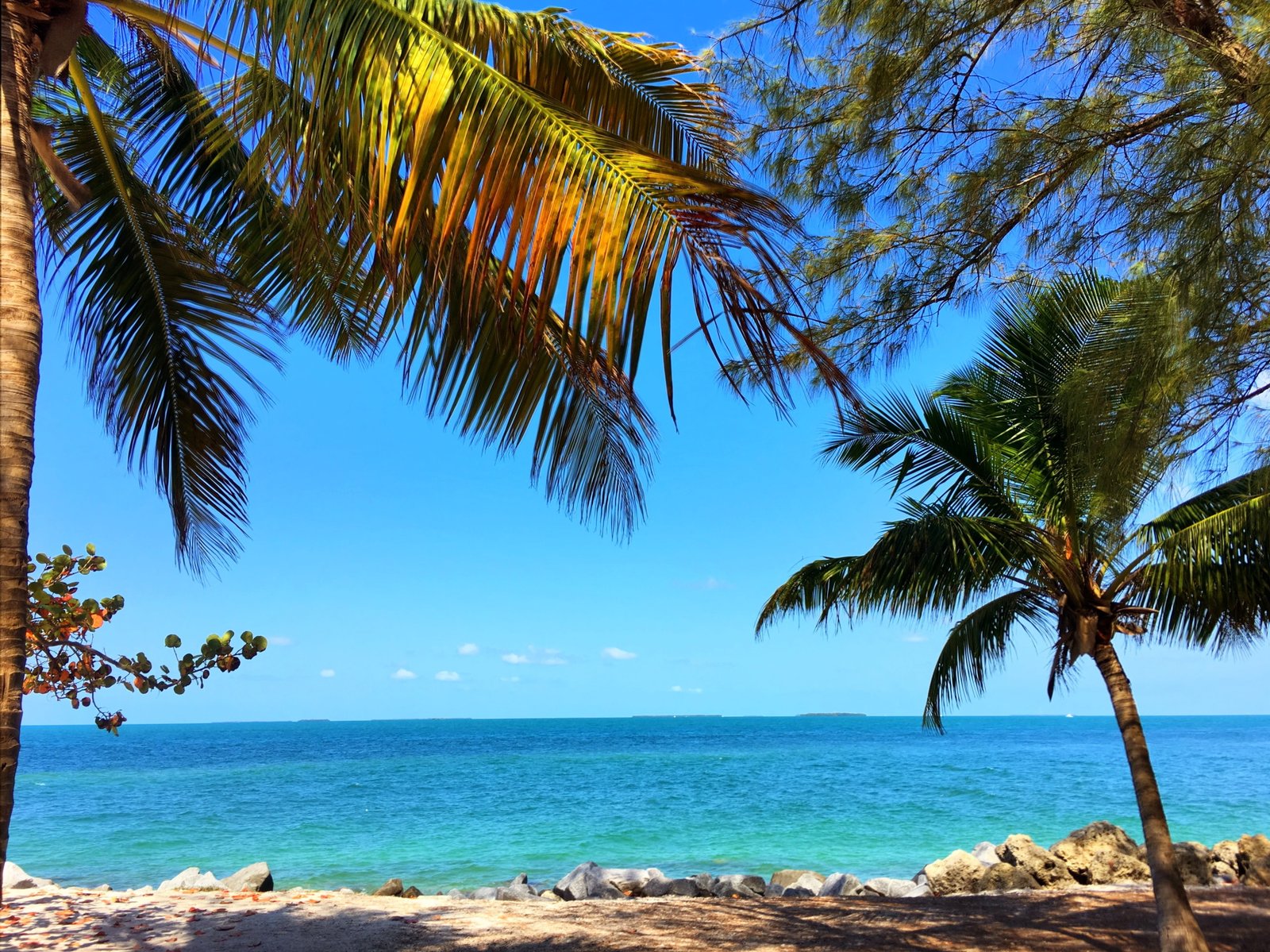 scenery of beach shore key west florida ocean water tropical 2k 4k