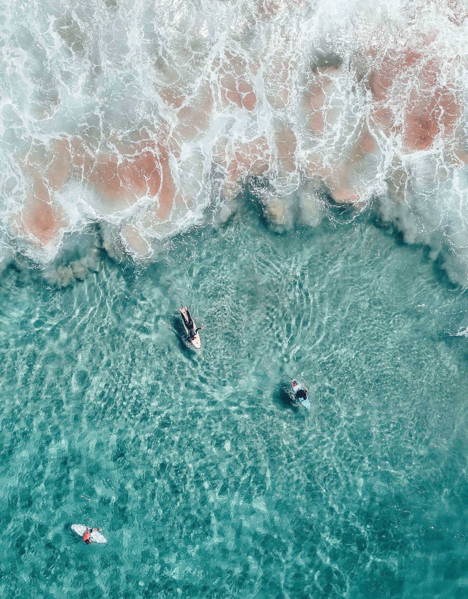 three white surfboards nature water beach waterfront real people 2k
