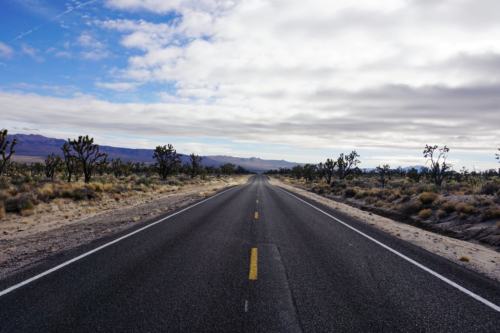united states mojave desert scenery road california nature 2k 4k 5k