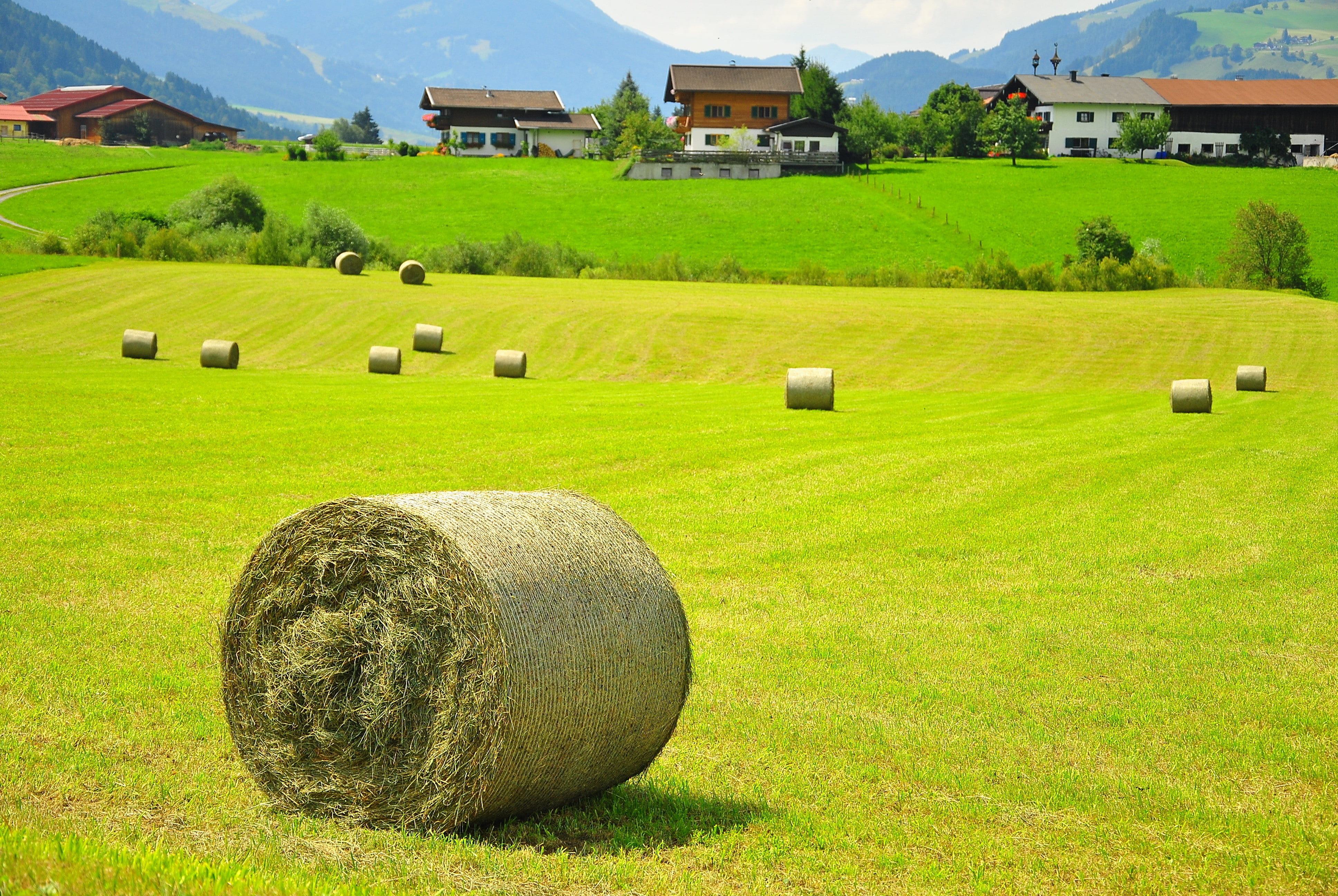 austria field hay house Landscape 2k 4k