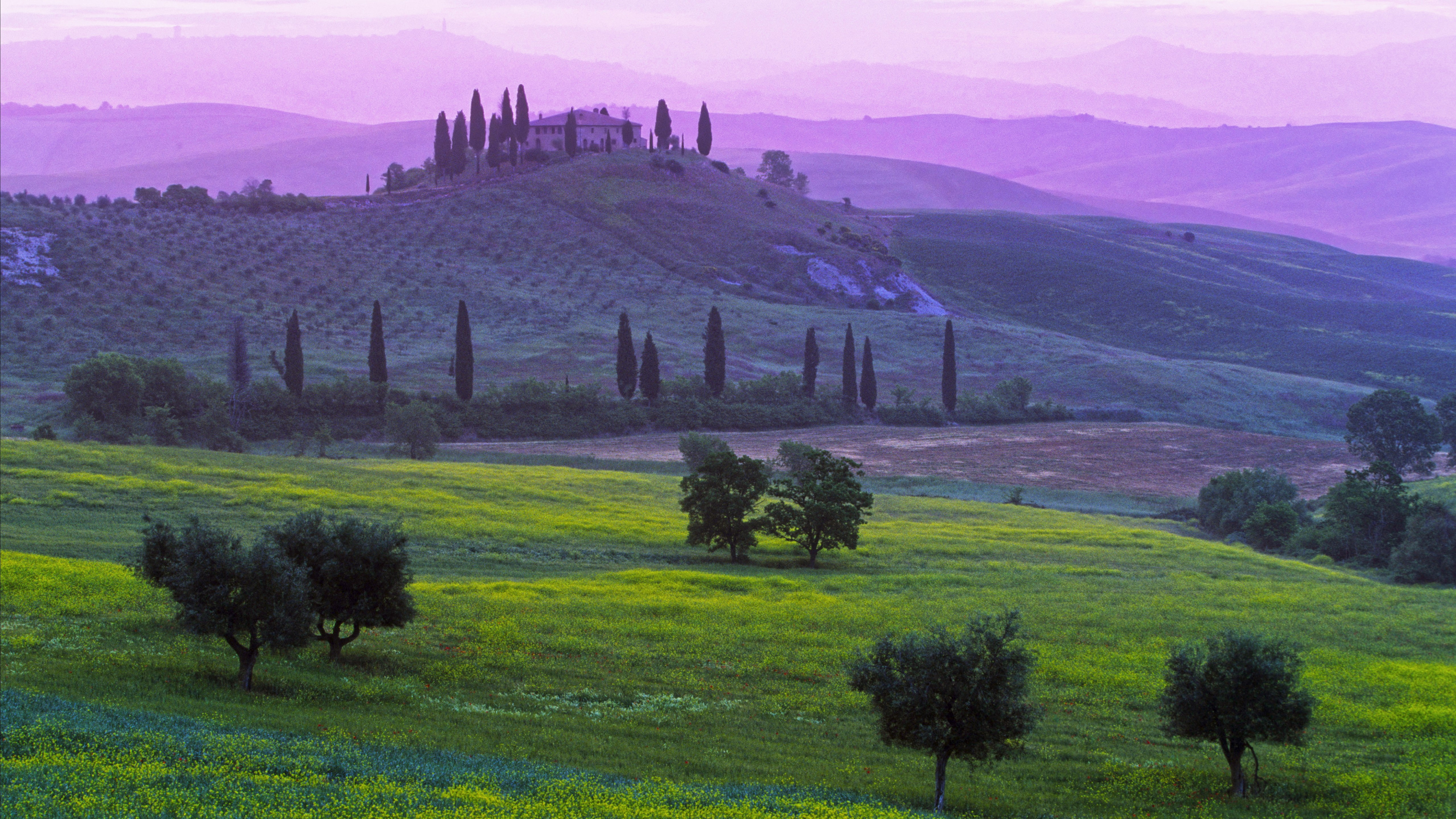 grass land with trees Tuscany wallpaper Italy Podere Belvedere Hotel 2k 4k 5k
