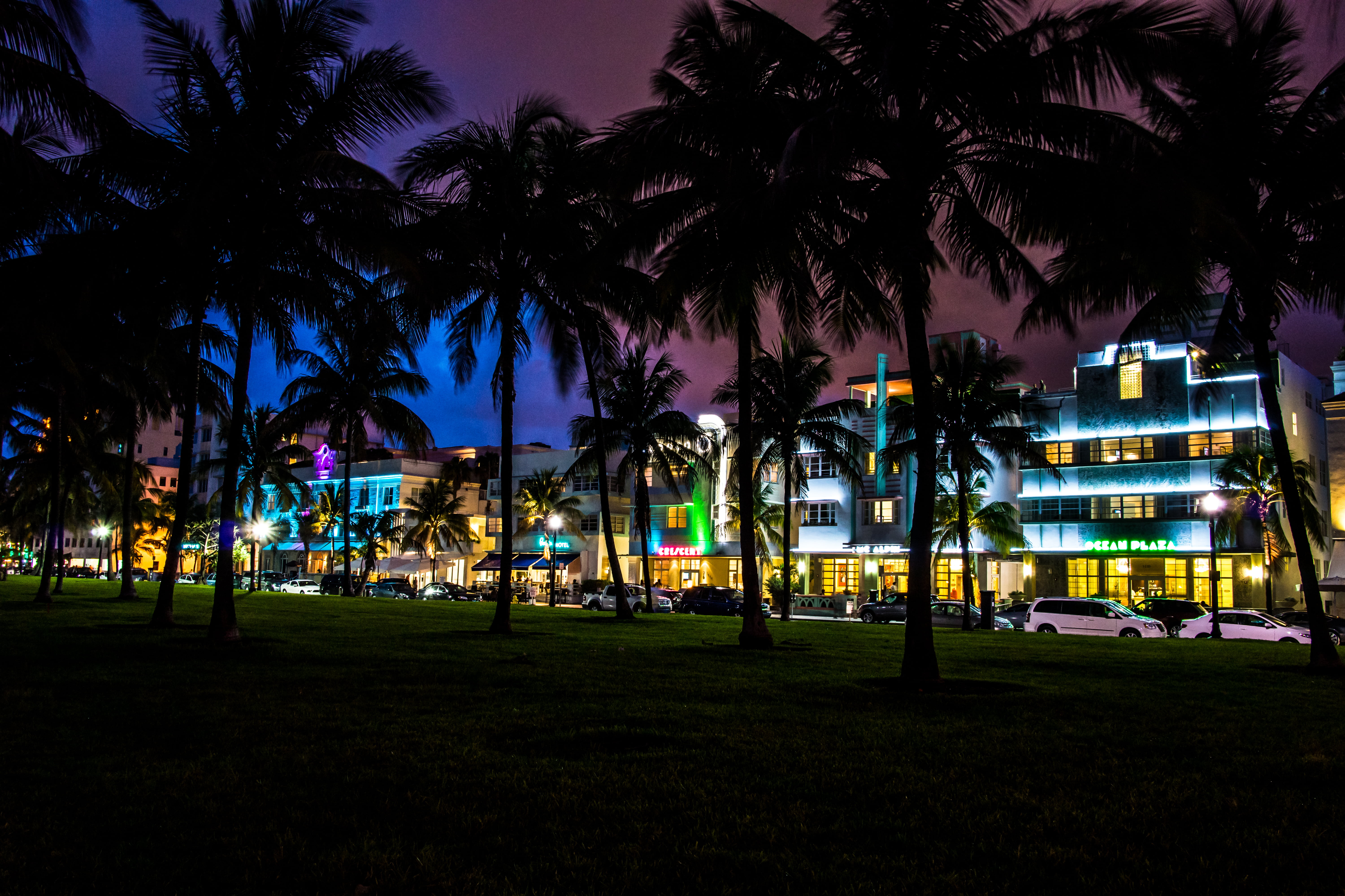 green palm trees night home Miami FL cars florida hotels 2k 4k 5k