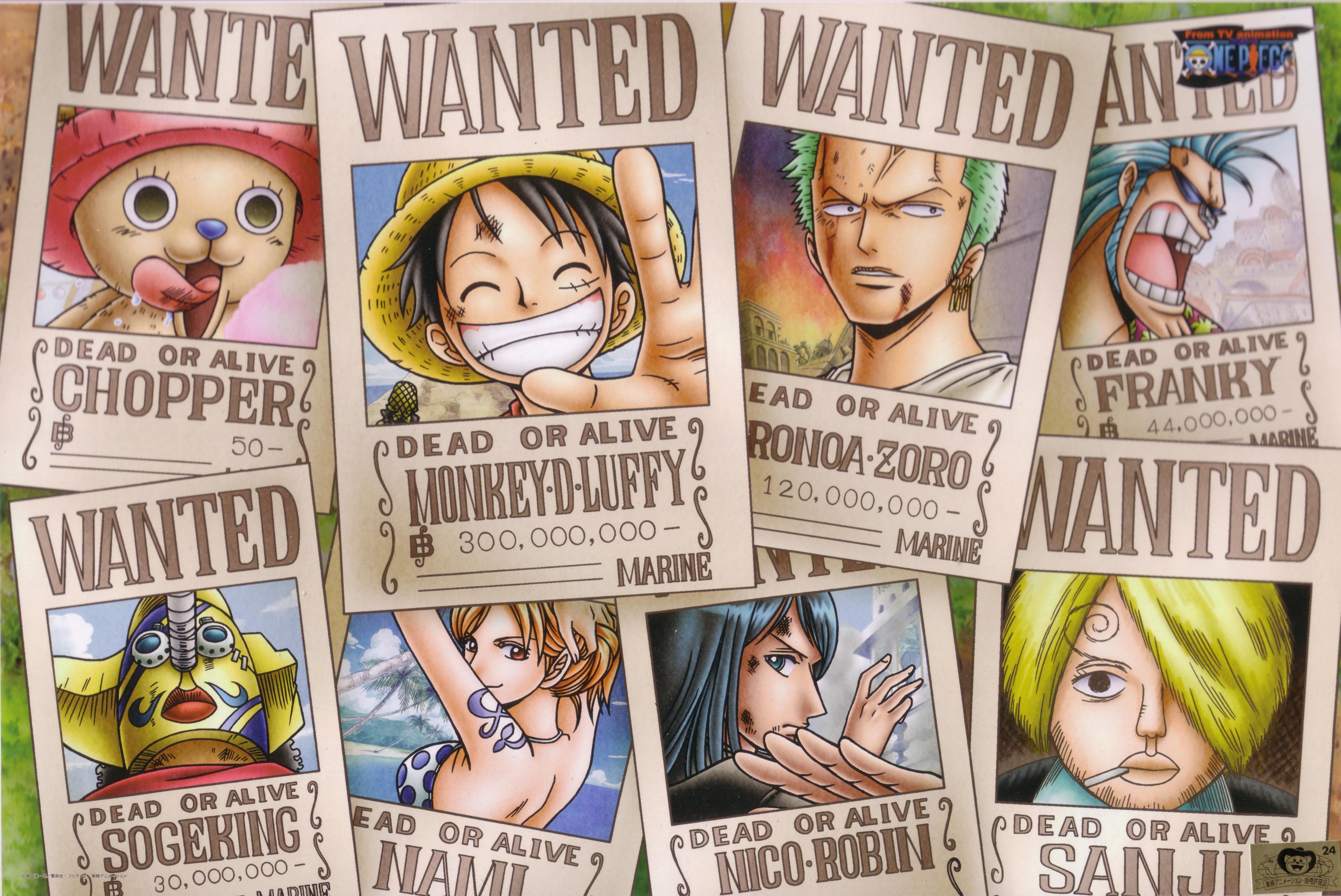 one piece nico robin nami luffy roronoa zoro sanji sogeking chopper Anime One Piece HD Art 2k 4k 5k