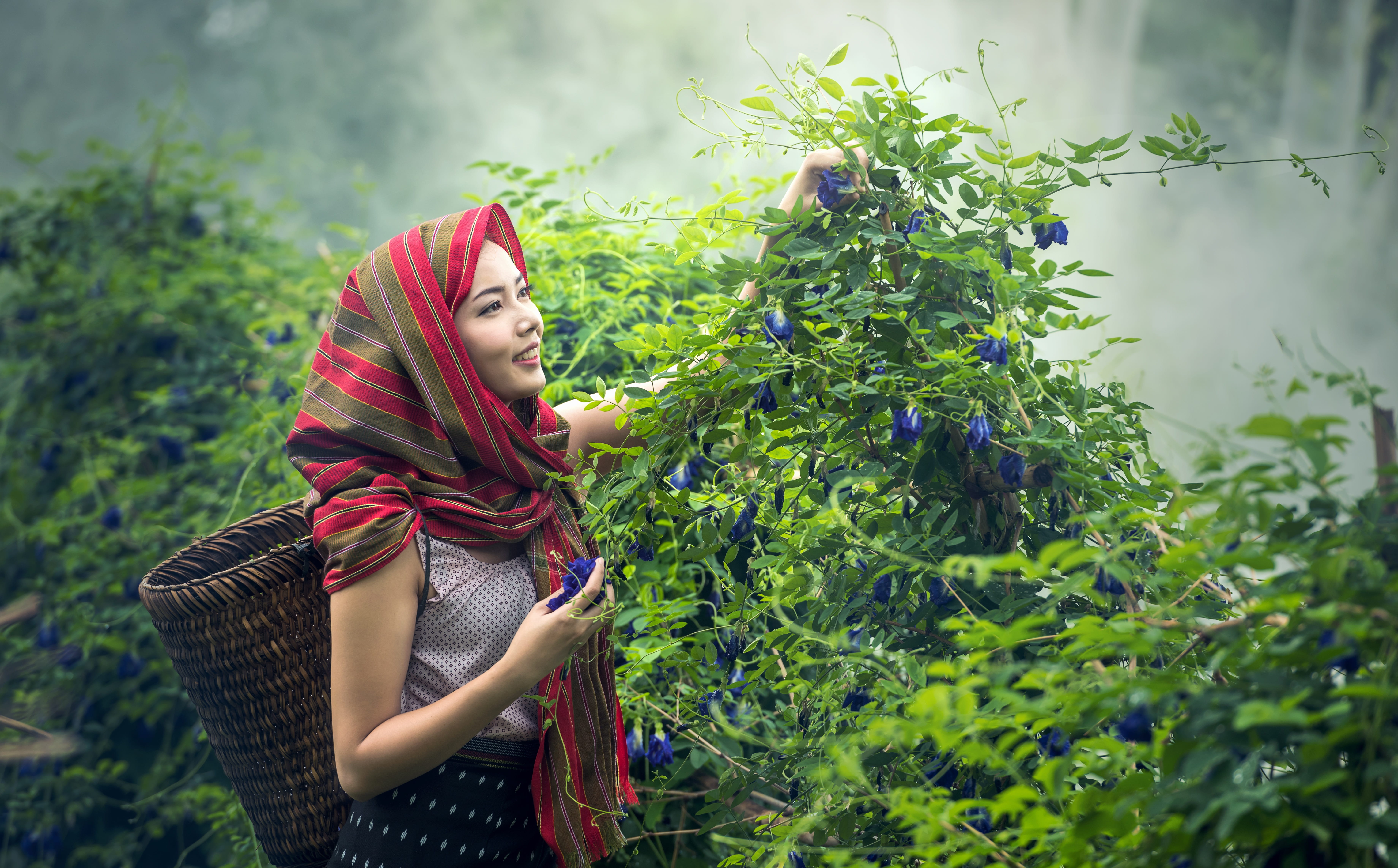 woman in white sleeveless top and red brown striped headscarf holding green plants 2k 4k 5k