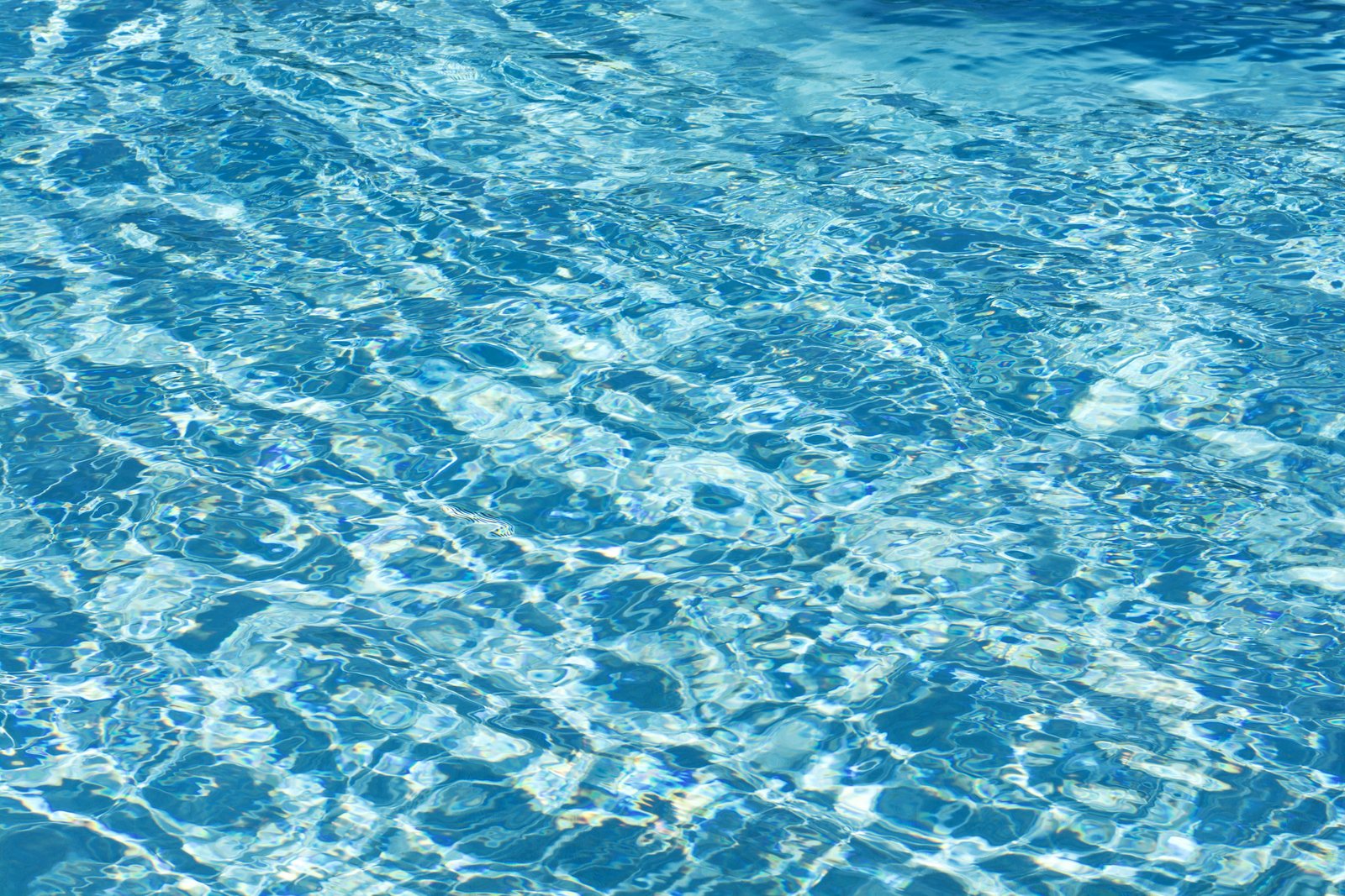 clear water nature outdoors pool sea ocean sport swimming 2k 4k 5k