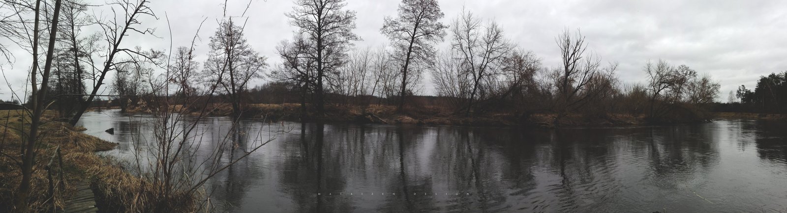 forest dead trees moss water river leaves Poland ultrawide 2k 4k 5k 8k
