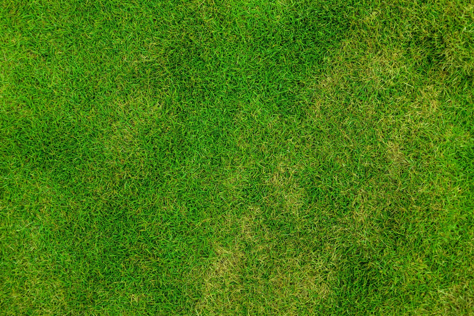 green grass field abstract backdrop background football fresh 2k